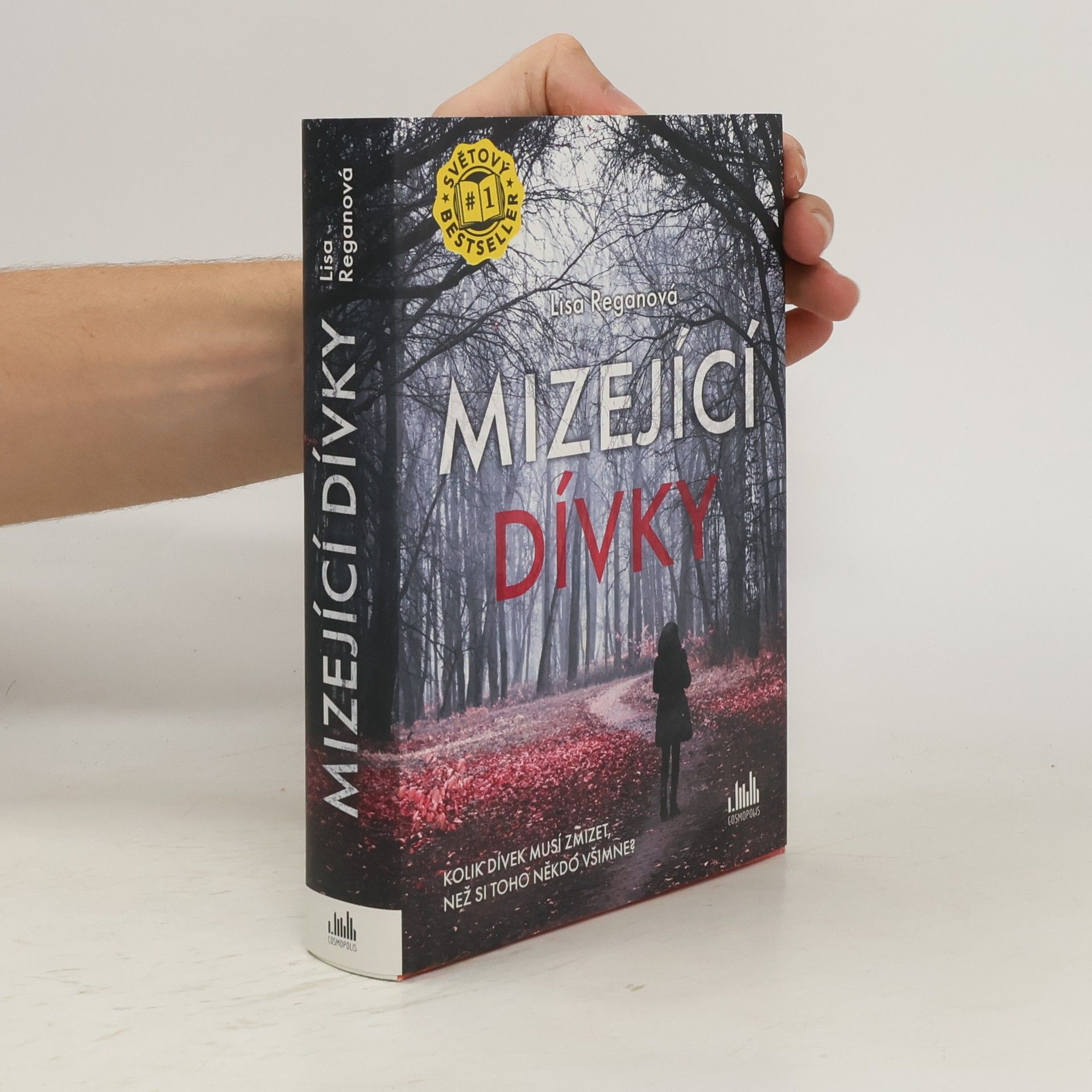 Lisa Regan Mizející dívky