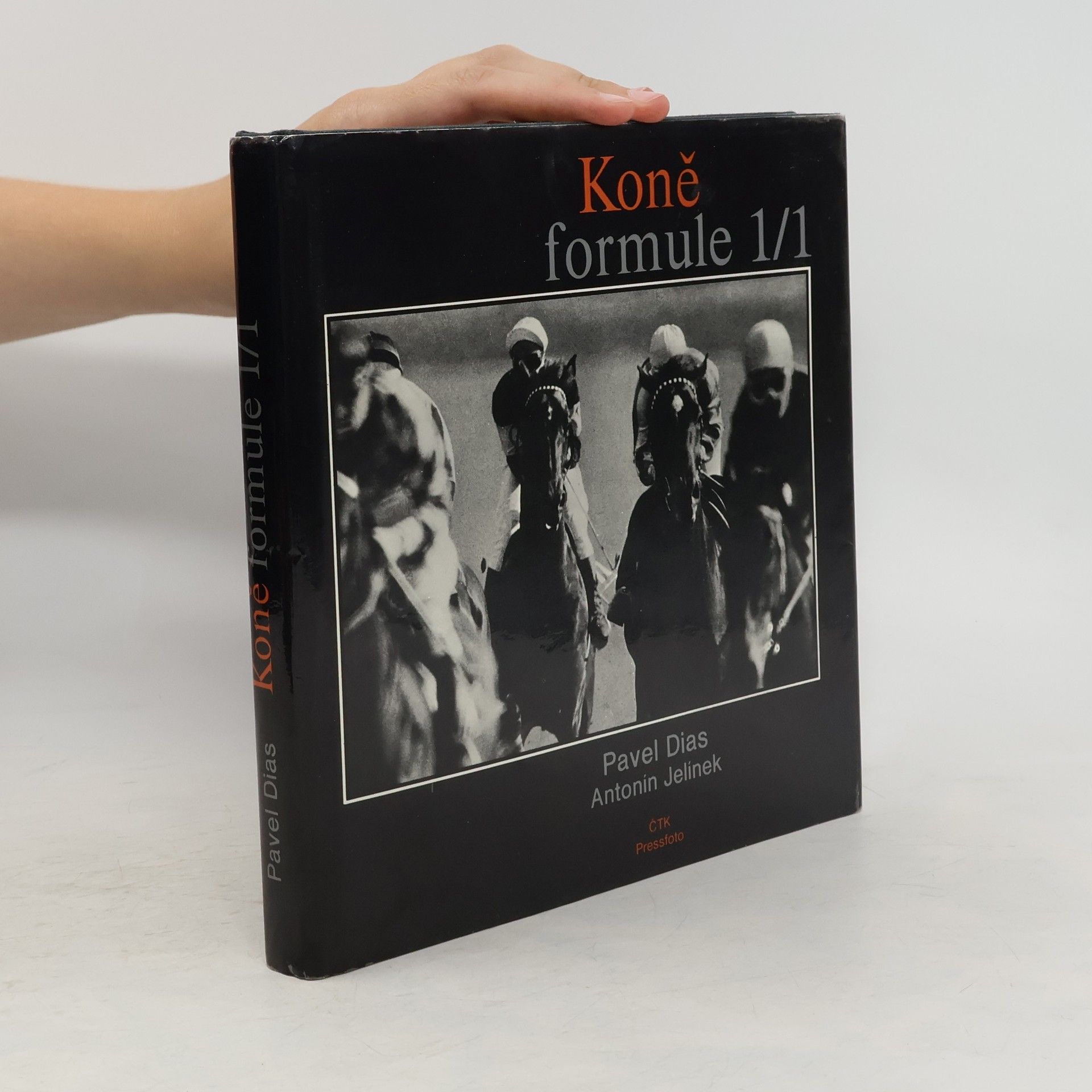 Pavel Dias Koně formule 1/1