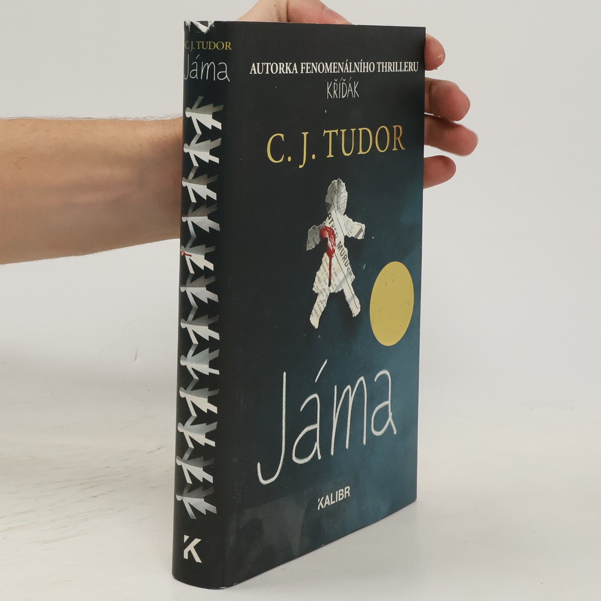 C. J. Tudor Jáma