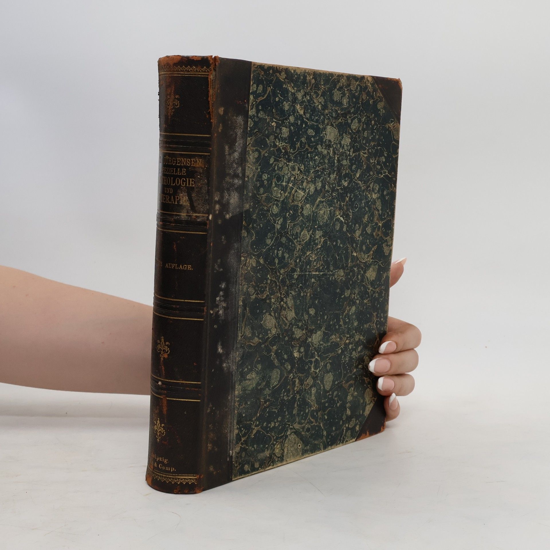 Rudolf Heidenhain Pathologie und Therapie