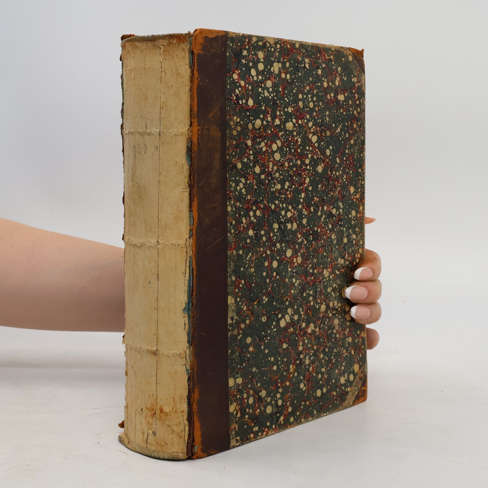 Ernst Ziegler Lehrbuch der Speciellen pathologischen Anatomie