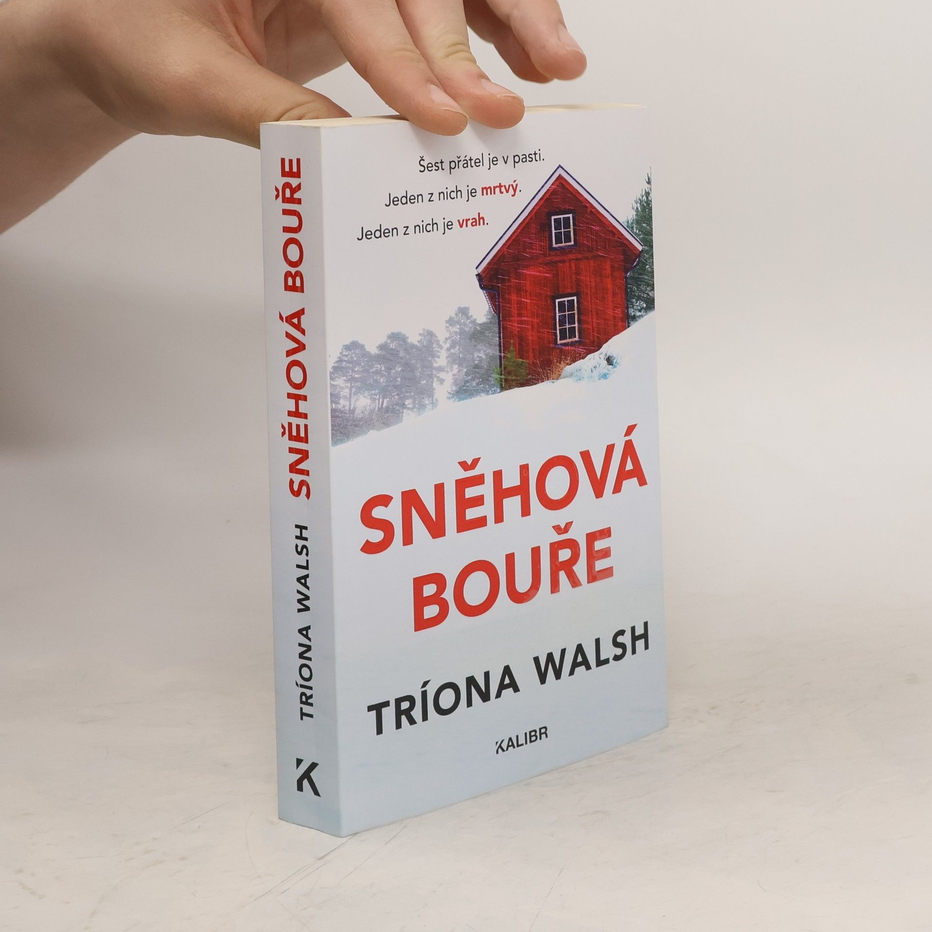 Tríona Walsh Sněhová bouře