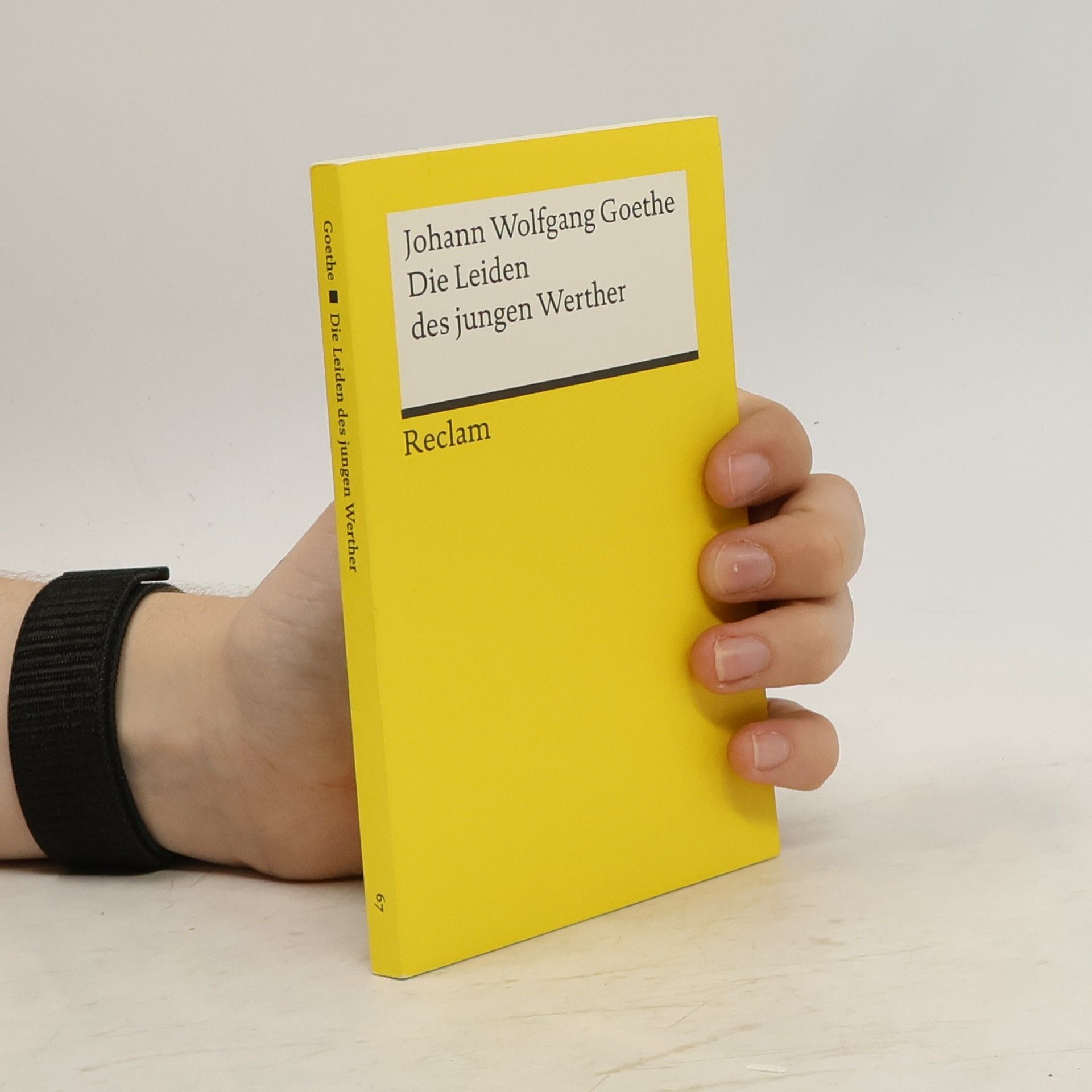 Johann Wolfgang von Goethe Die Leiden des jungen Werther