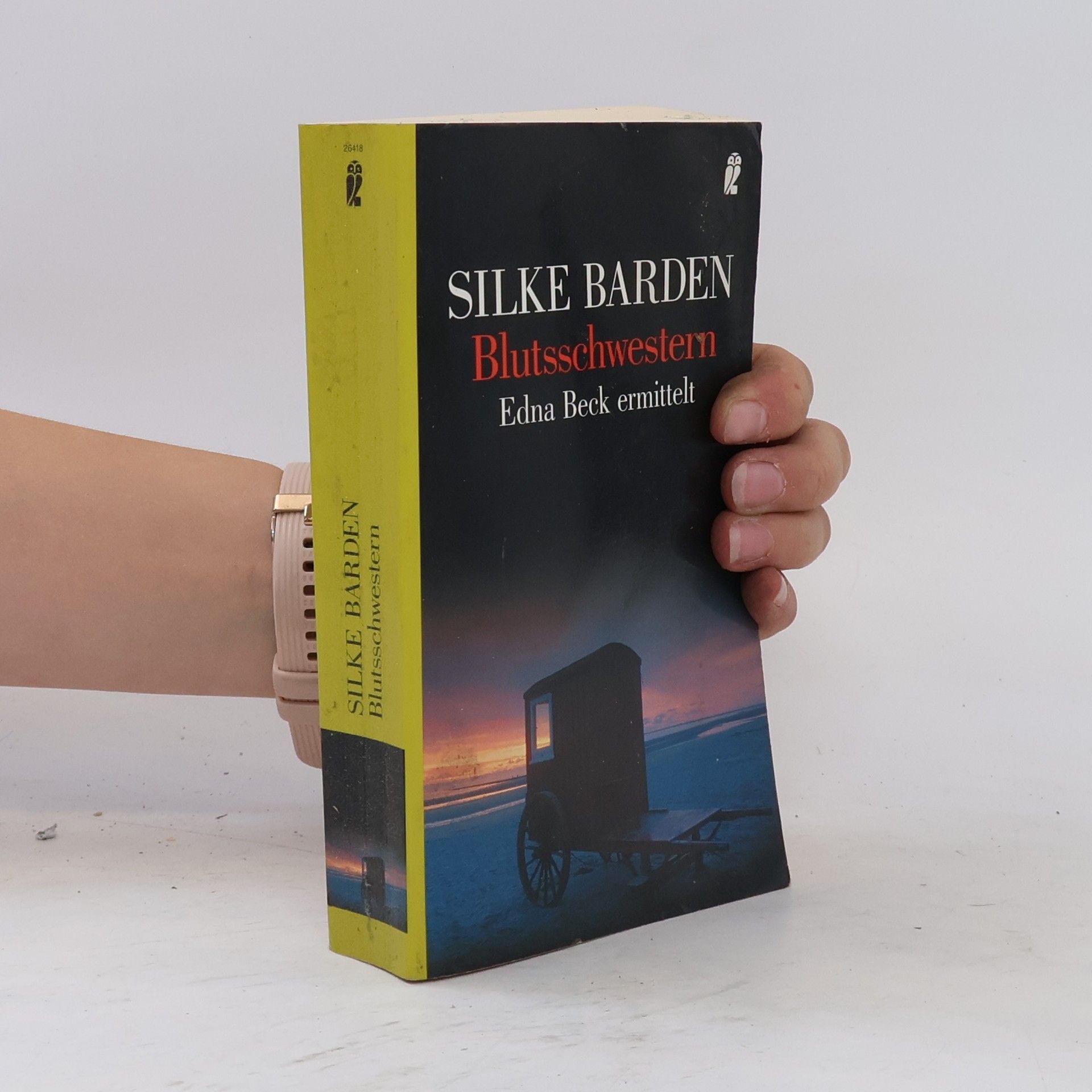 Silke Barden Blutsschwestern. Edna Beck ermittelt