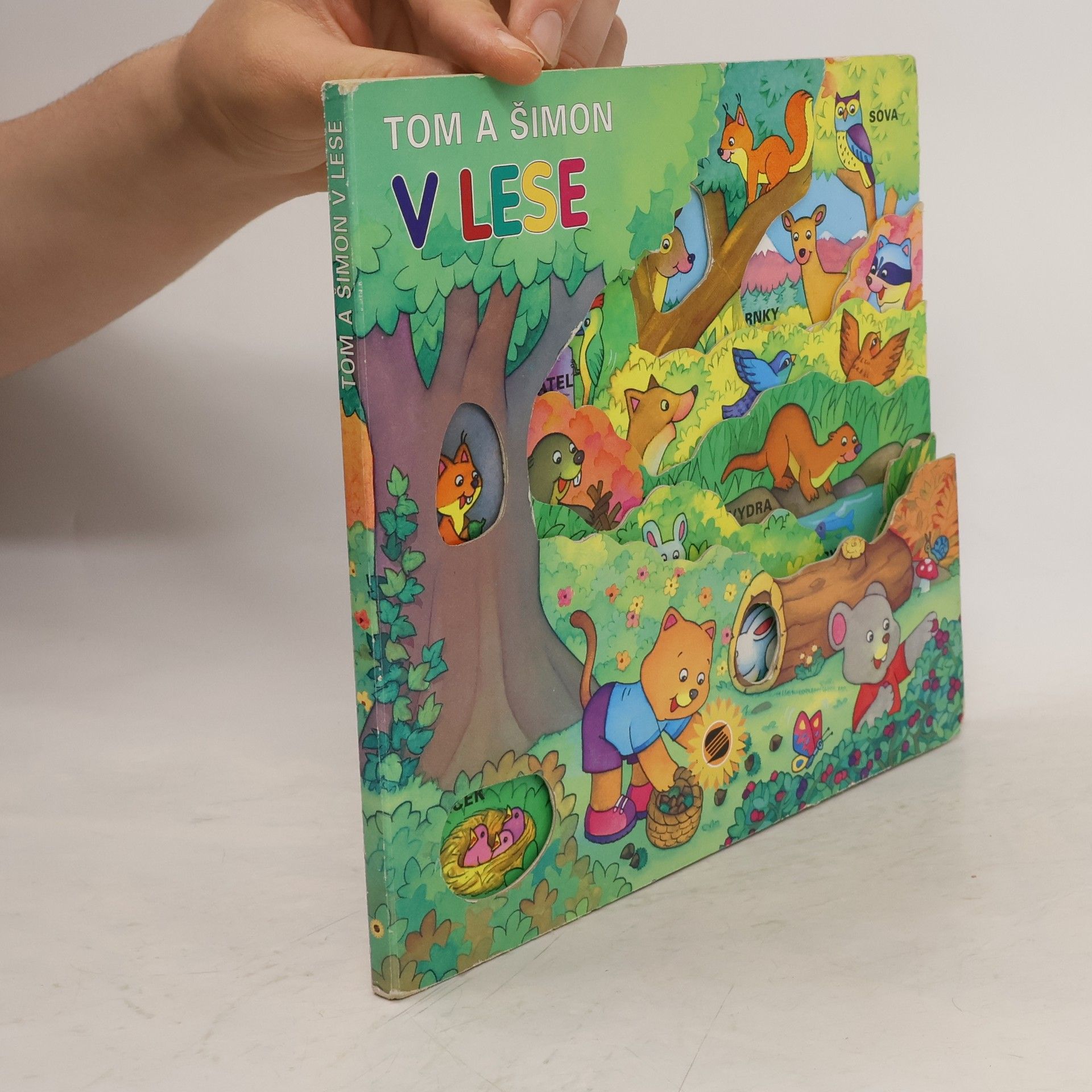 Collectif d'auteurs Tom a Šimon v lese