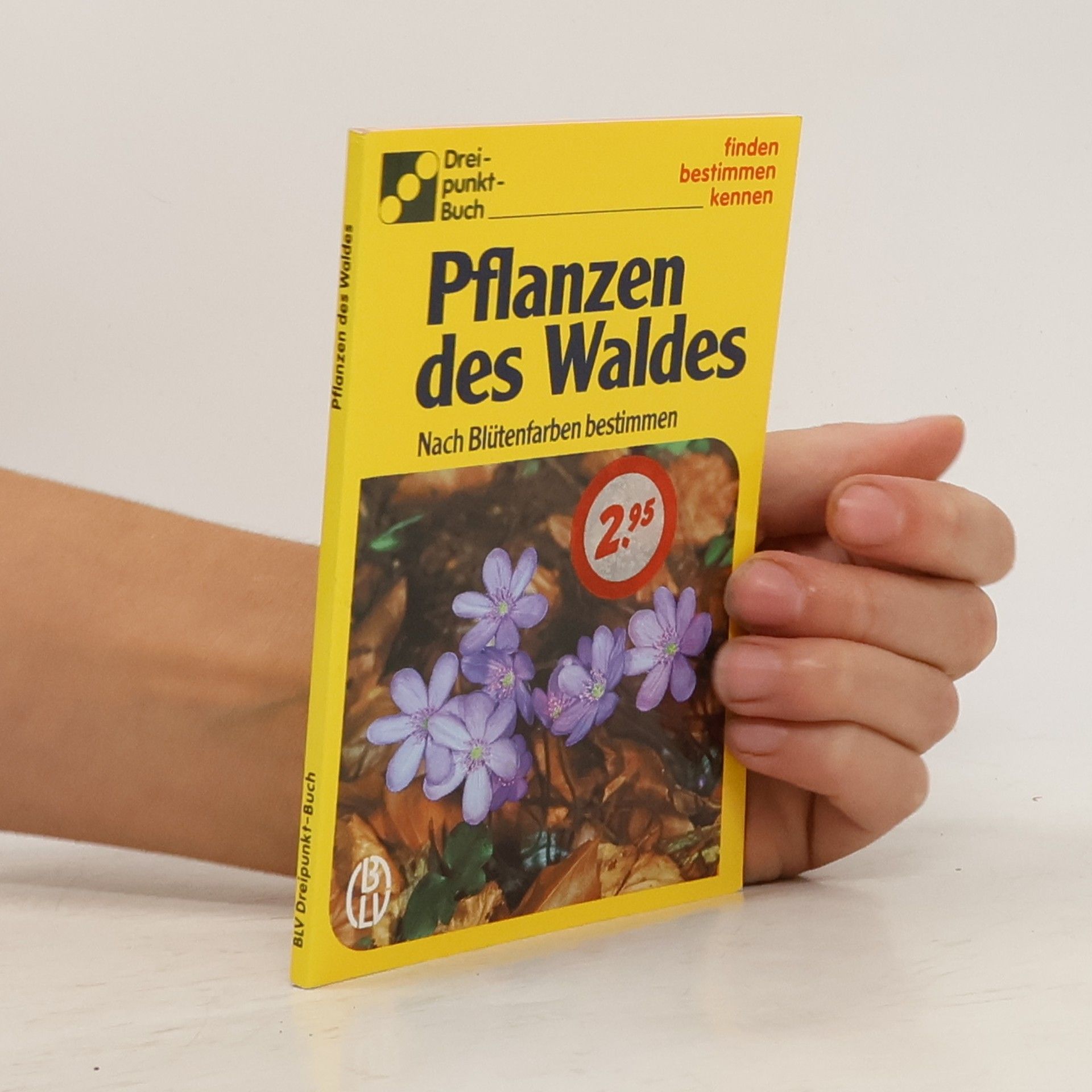 kolektiv Pflanzen des Waldes