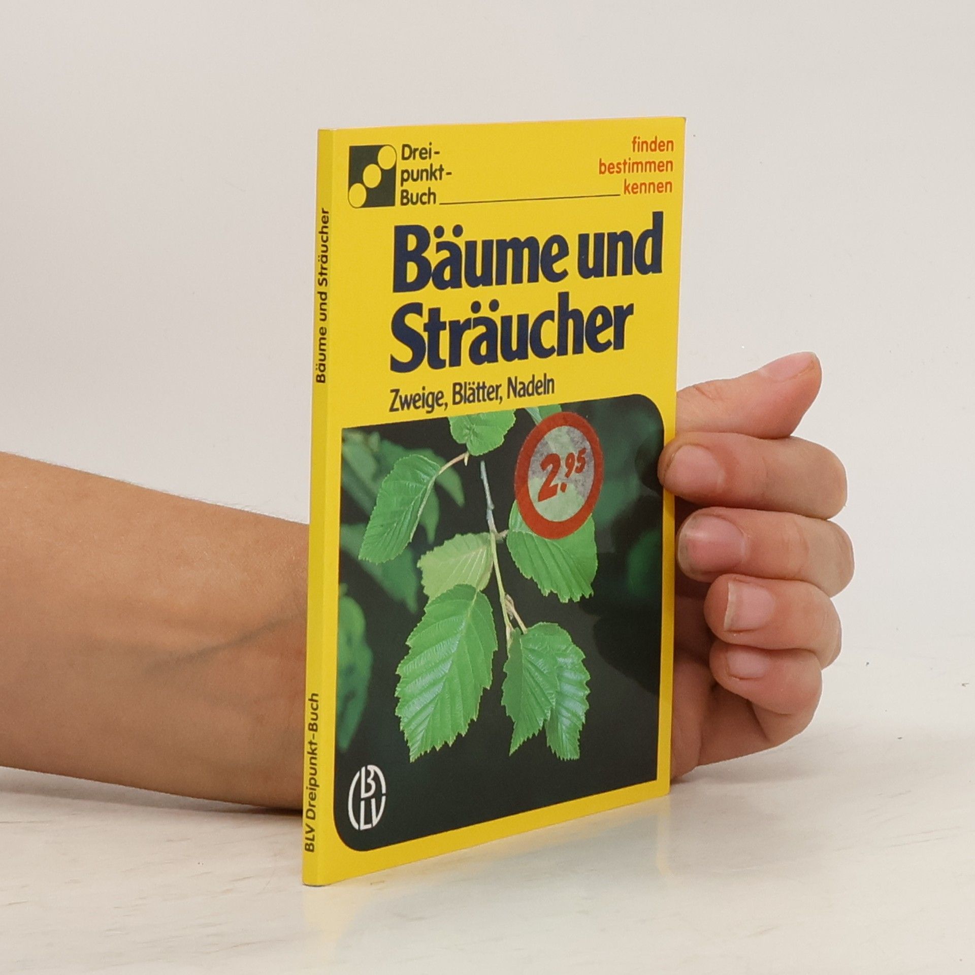 Autorenkollektiv Bäume und Sträucher
