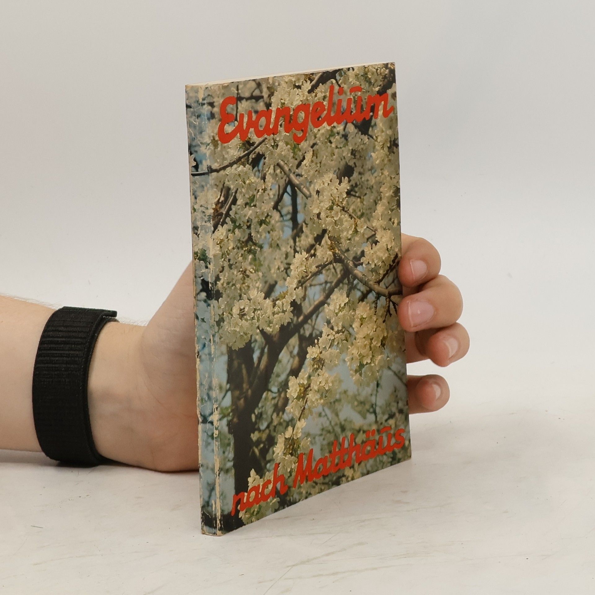 kolektiv Das Evangelium nach Matthäus