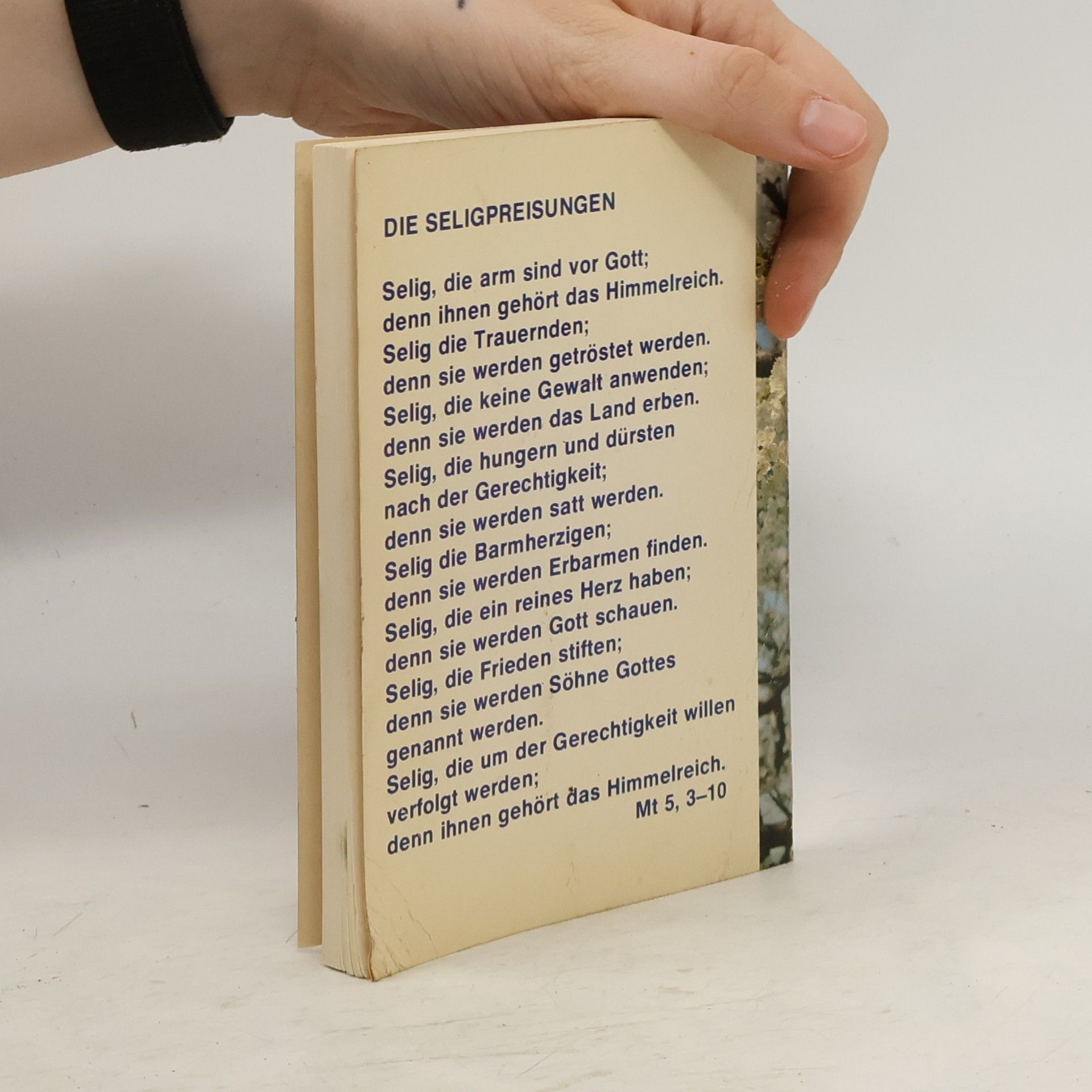 Autorenkollektiv Das Evangelium nach Matthäus