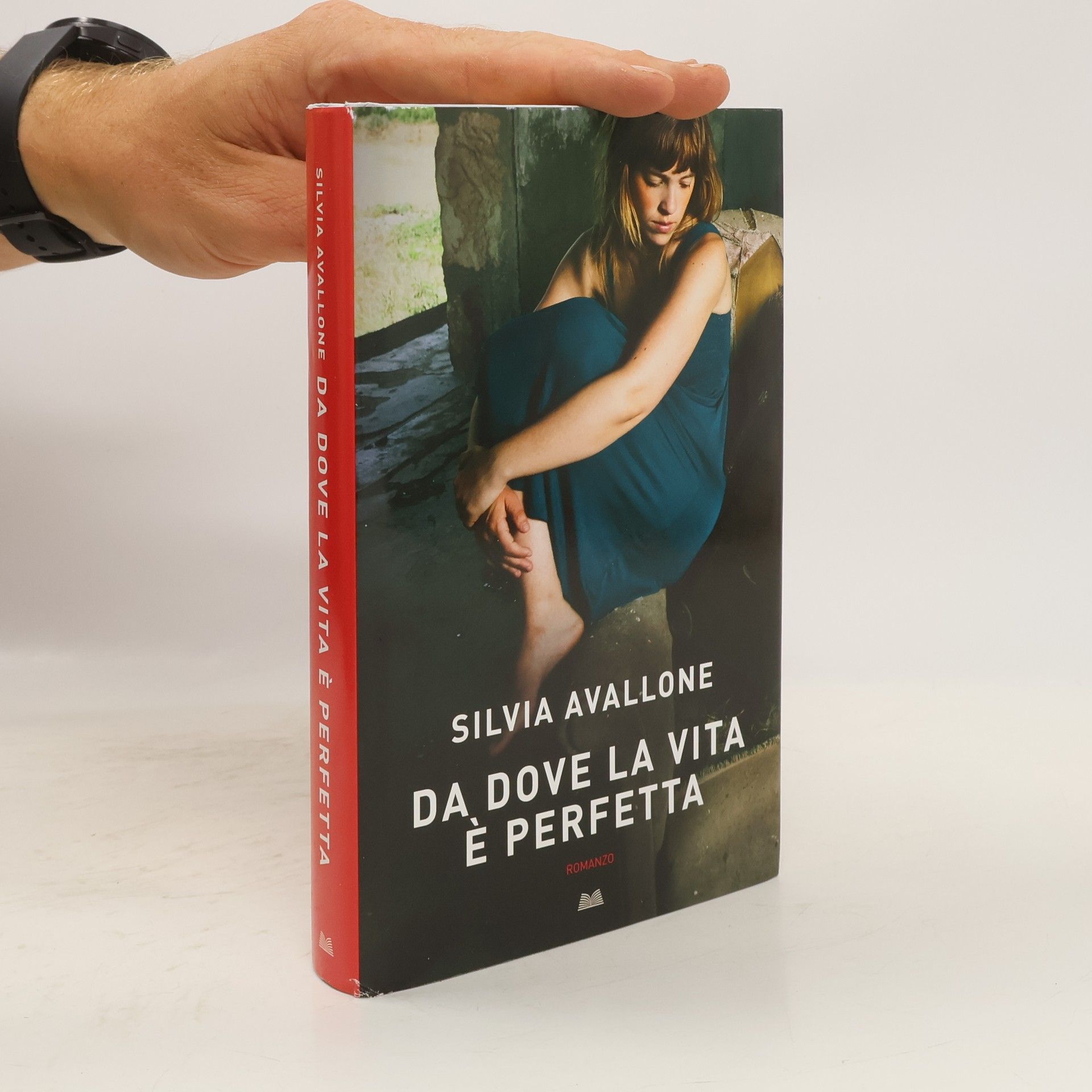 Silvia Avallone Da dove la vita è perfetta