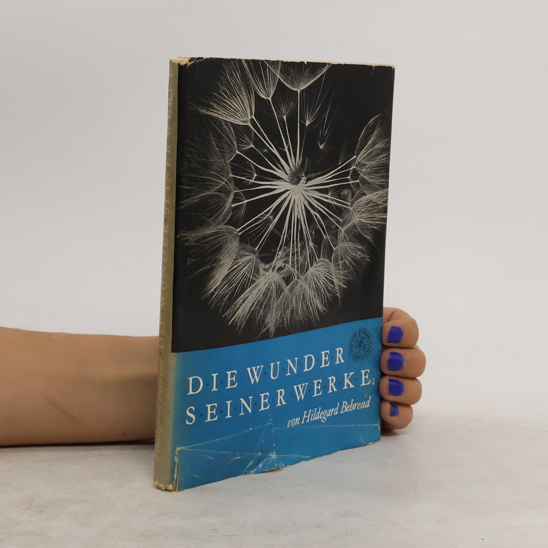 Hildegard Behrend Die Wunder seiner Werke