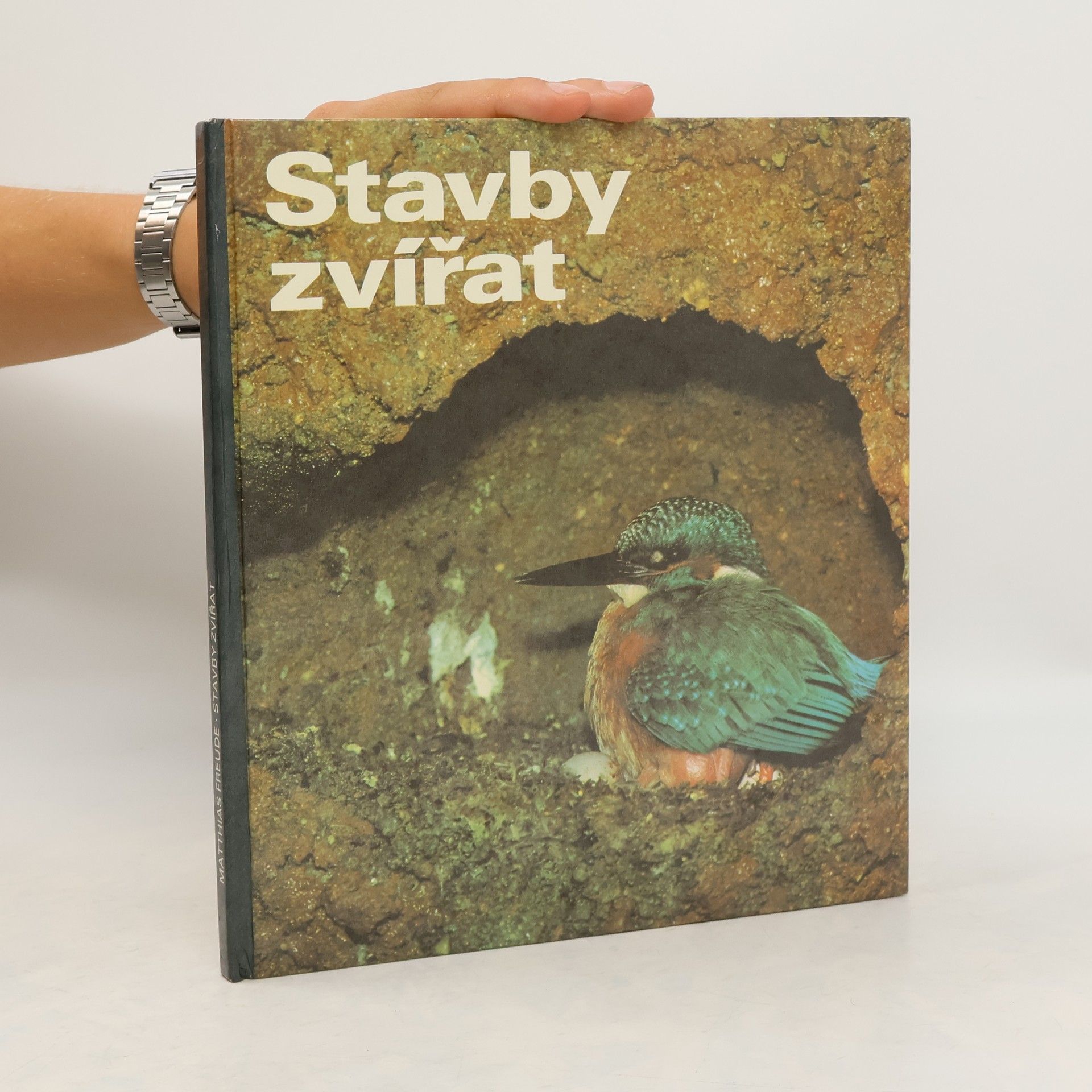 Matthias Freude Stavby zvířat
