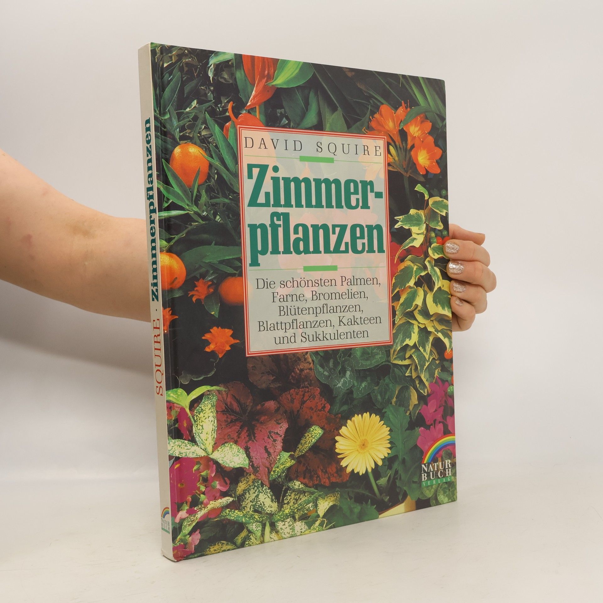 David Squire Zimmerpflanzen
