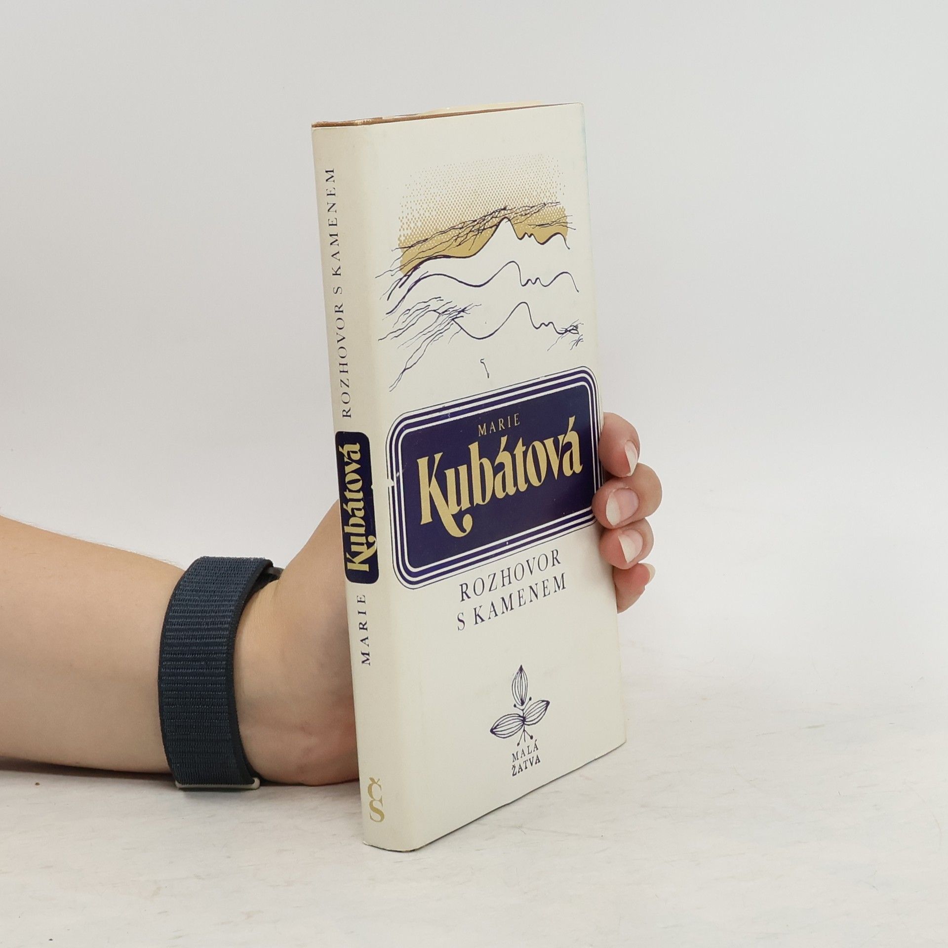 Marie Kubátová Rozhovor s kamenem