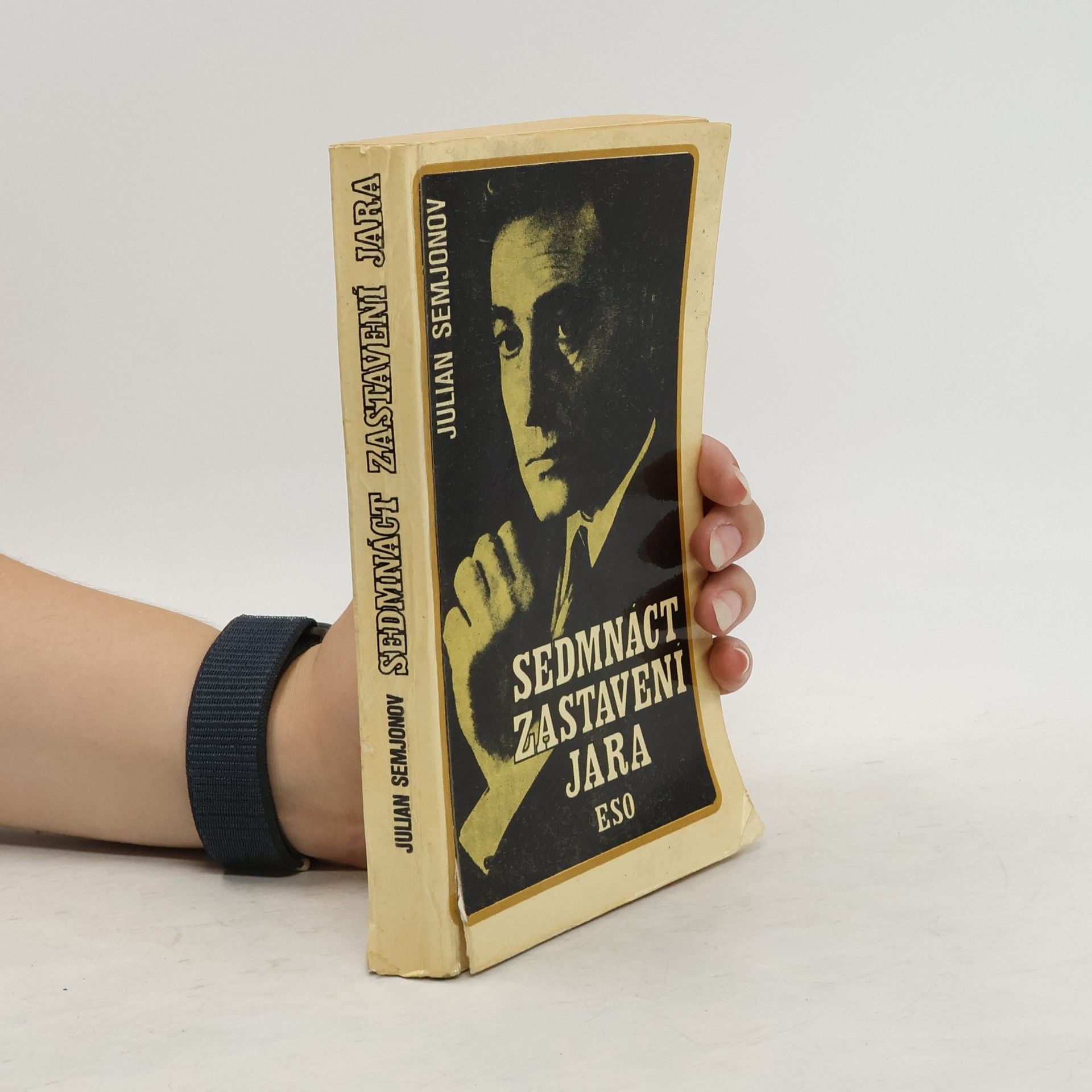 Julian Semjonov Sedmnáct zastavení jara