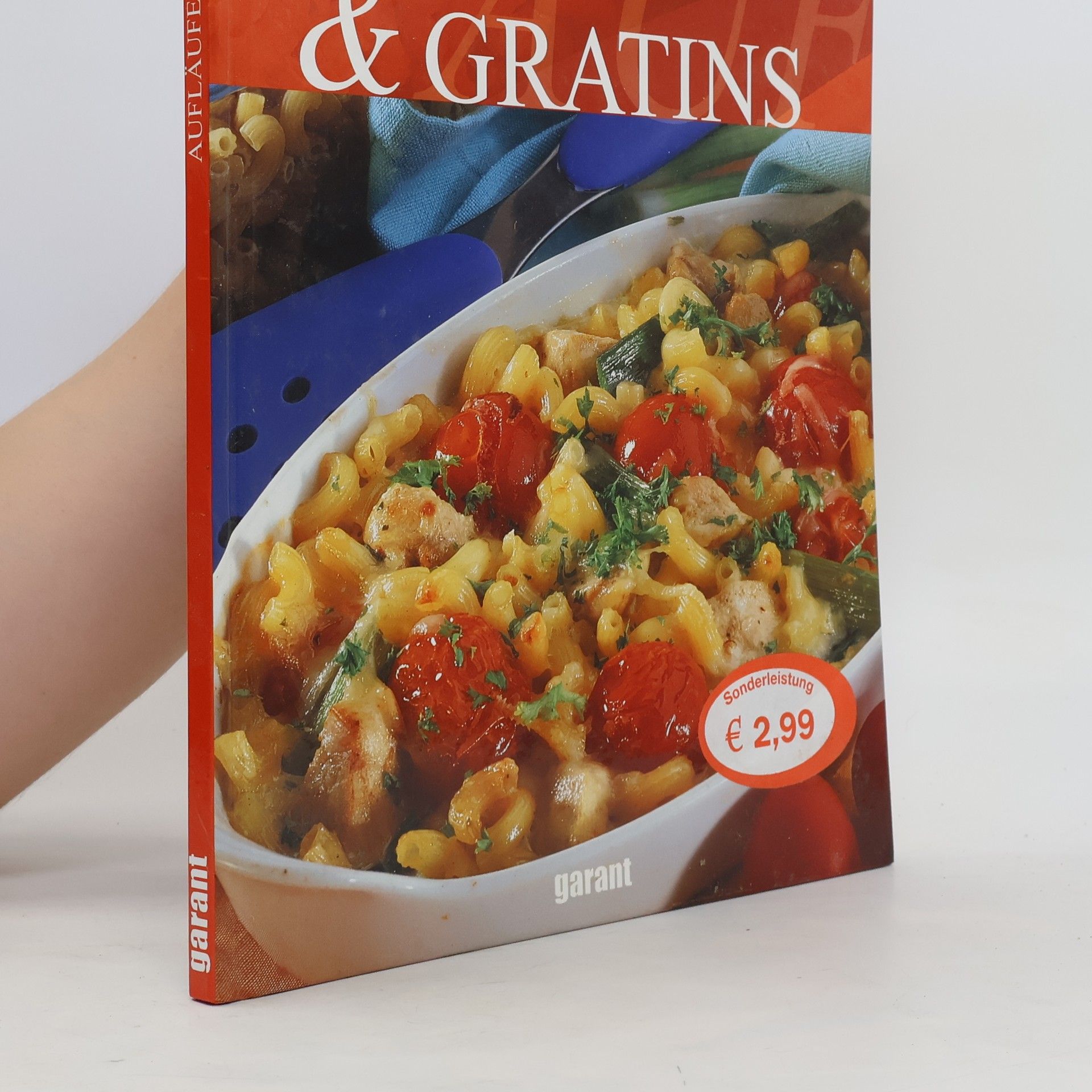 Collectif d'auteurs Aufläufe & Gratins