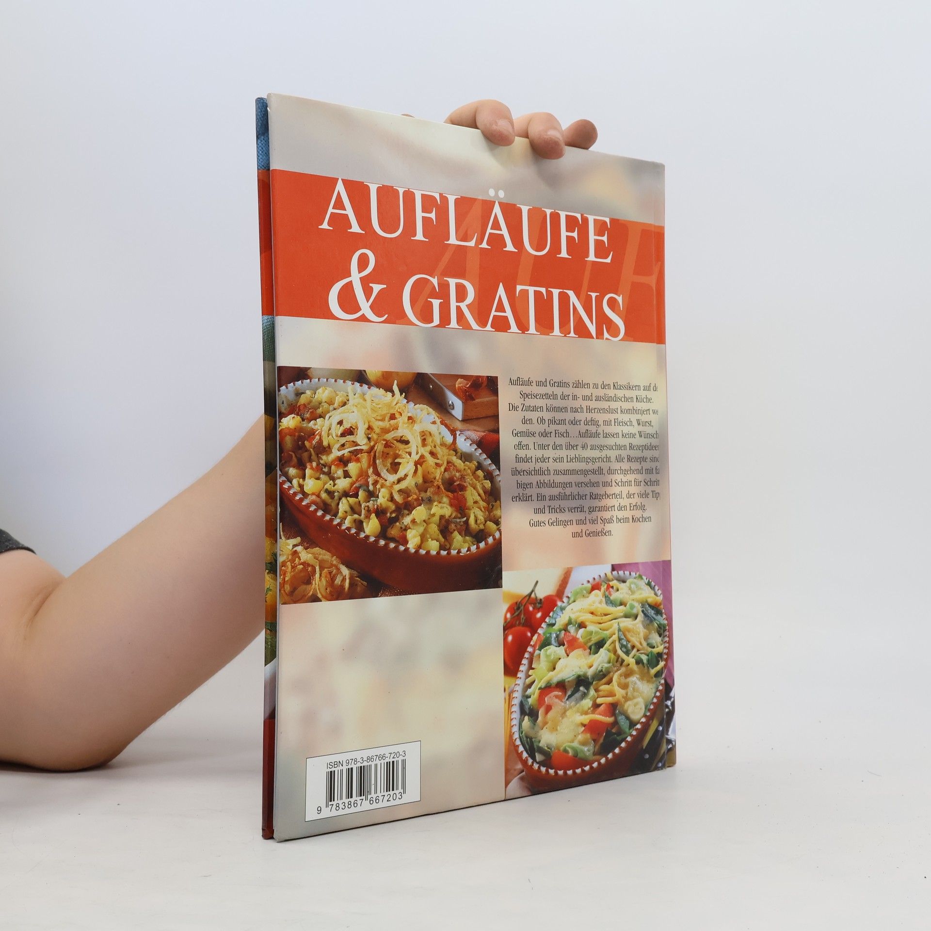 Aufläufe & Gratins