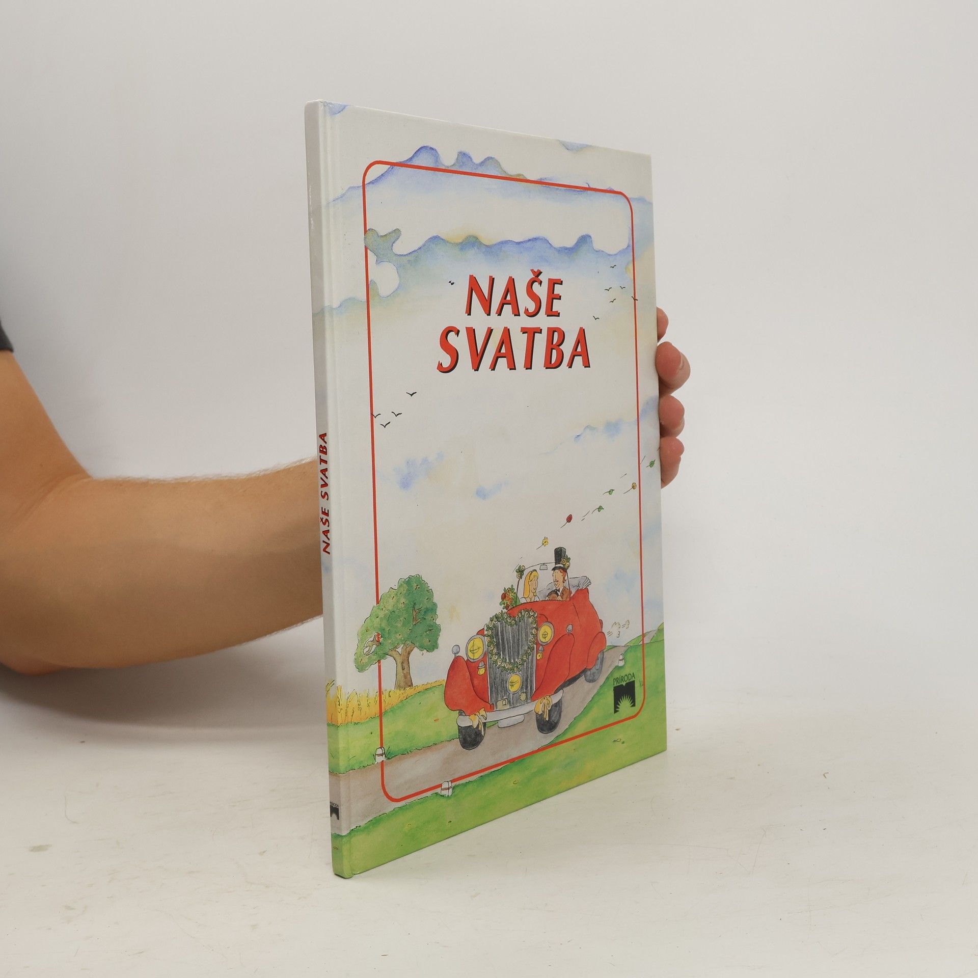 Autores varios Naše svatba