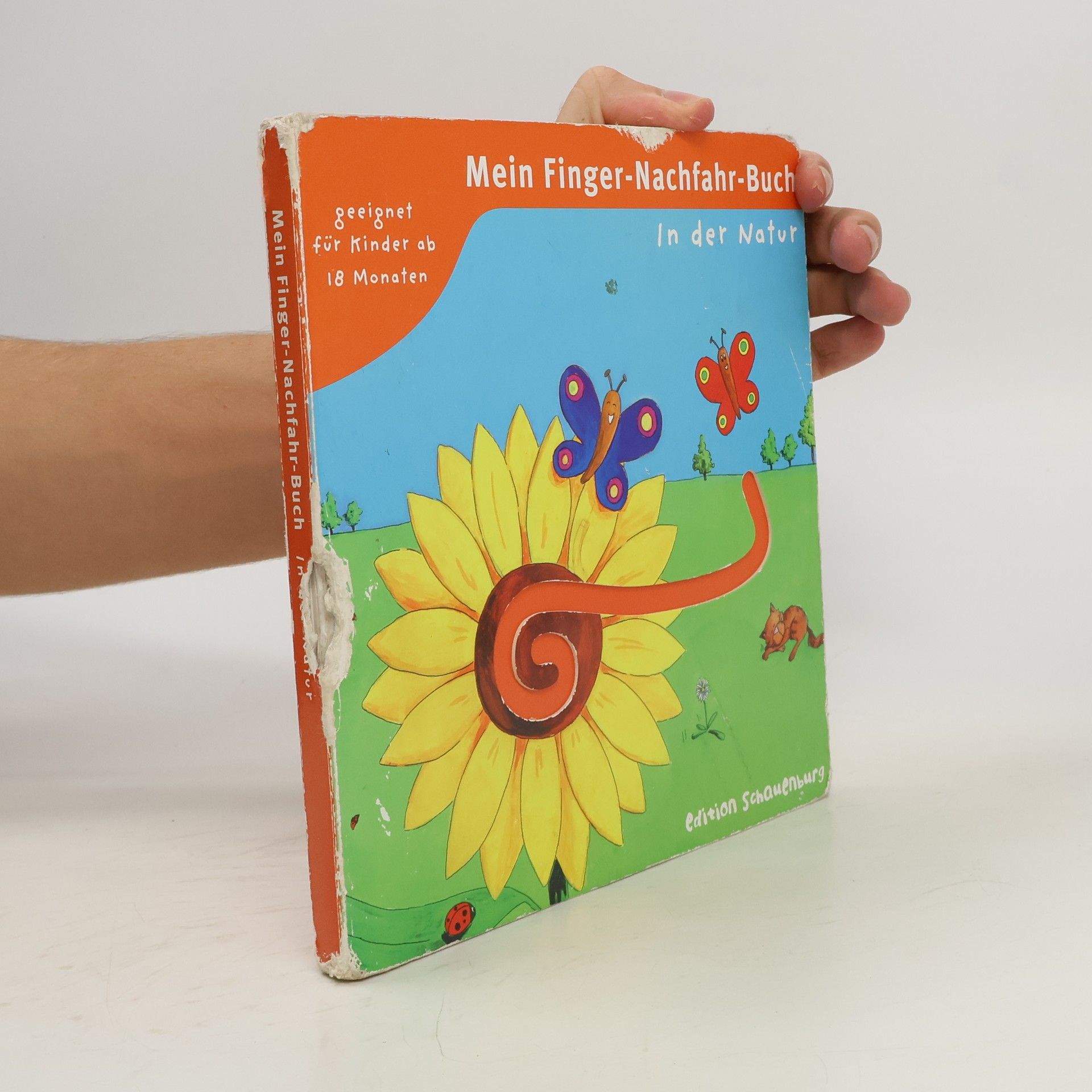 Johanna Fritz Mein Finger-Nachfahr-Buch In der Natur