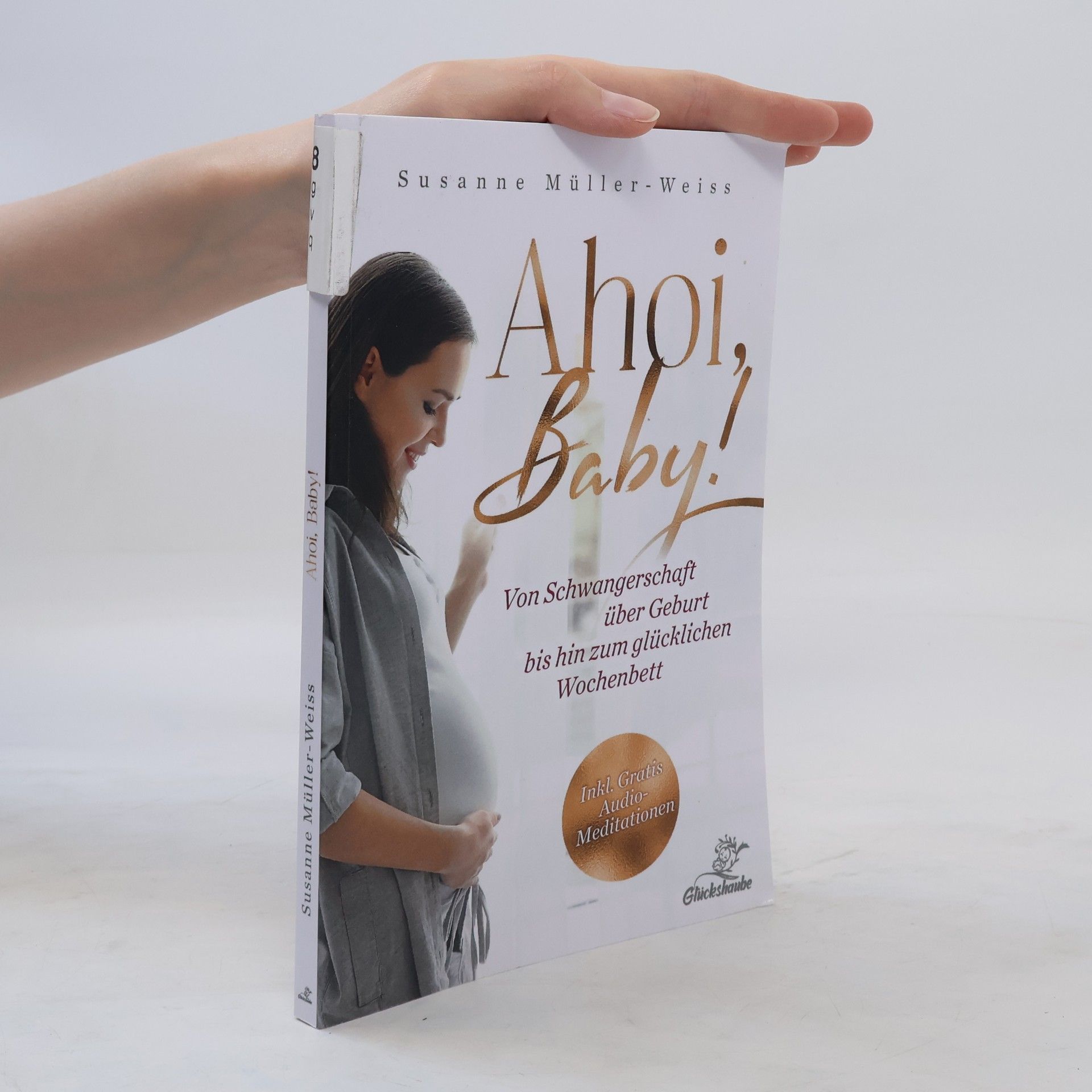 Susanne Müller-Weiss Ahoi, Baby!