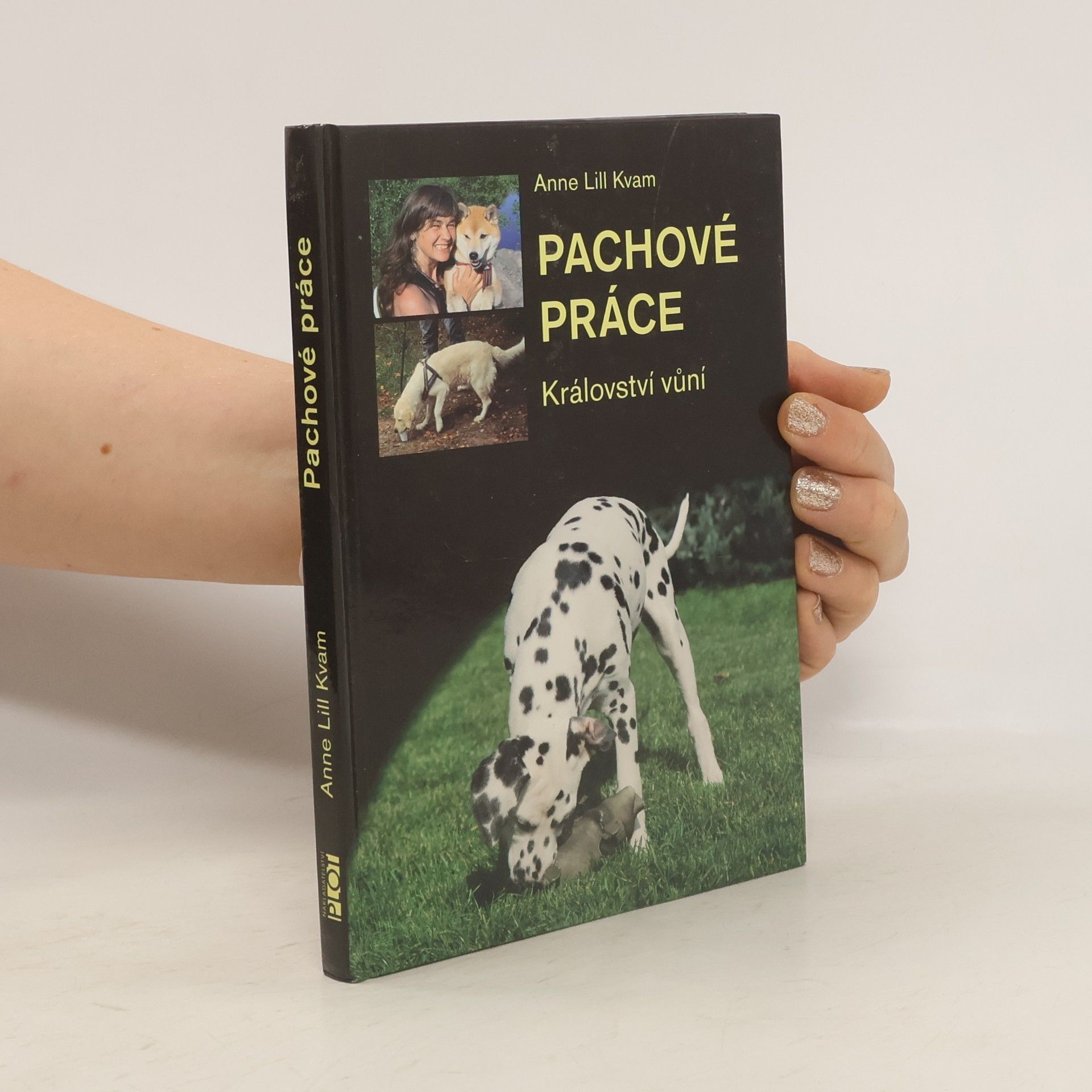 Anne Lill Kvam Pachové práce. Království vůní