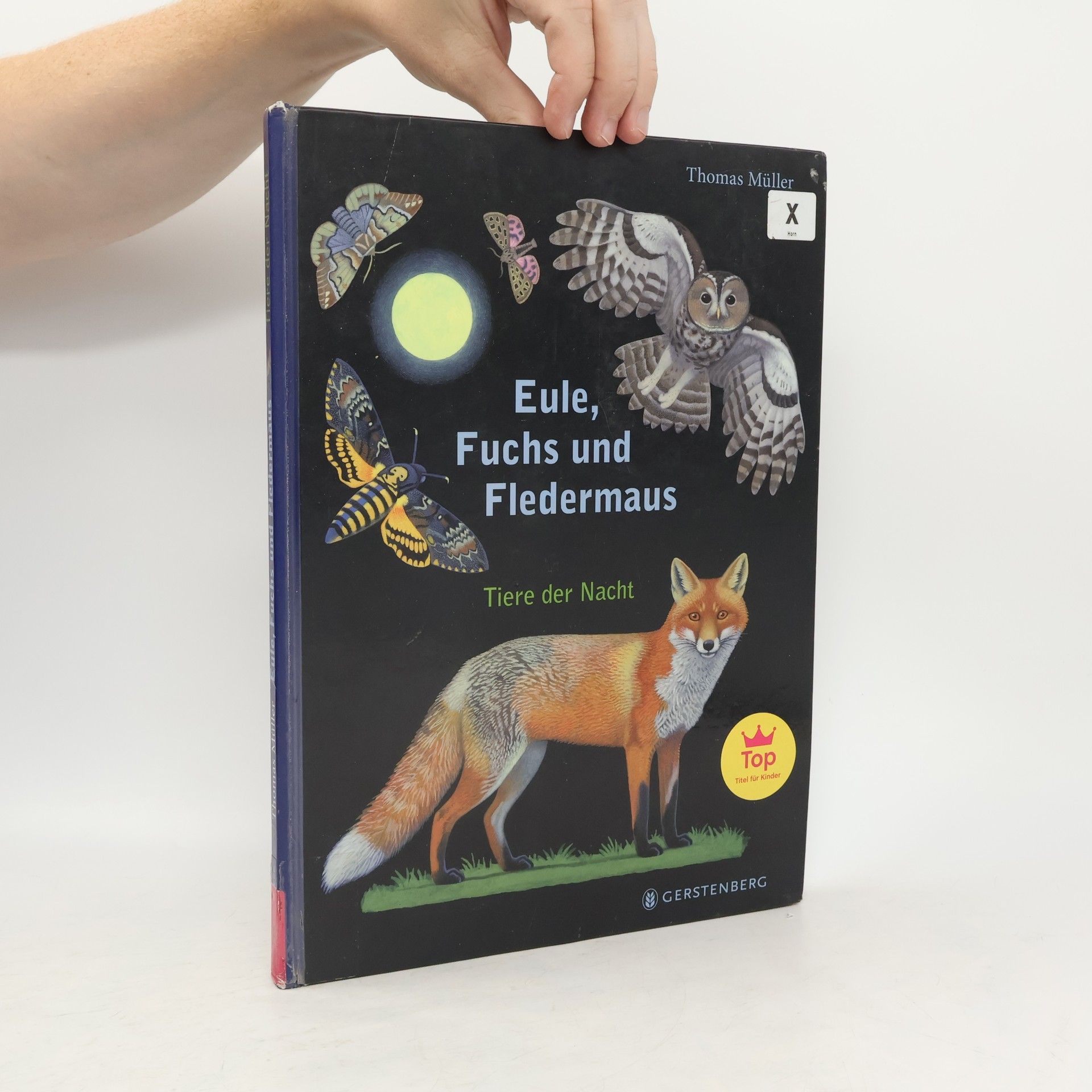Thomas M. Müller Eule, Fuchs und Fledermaus
