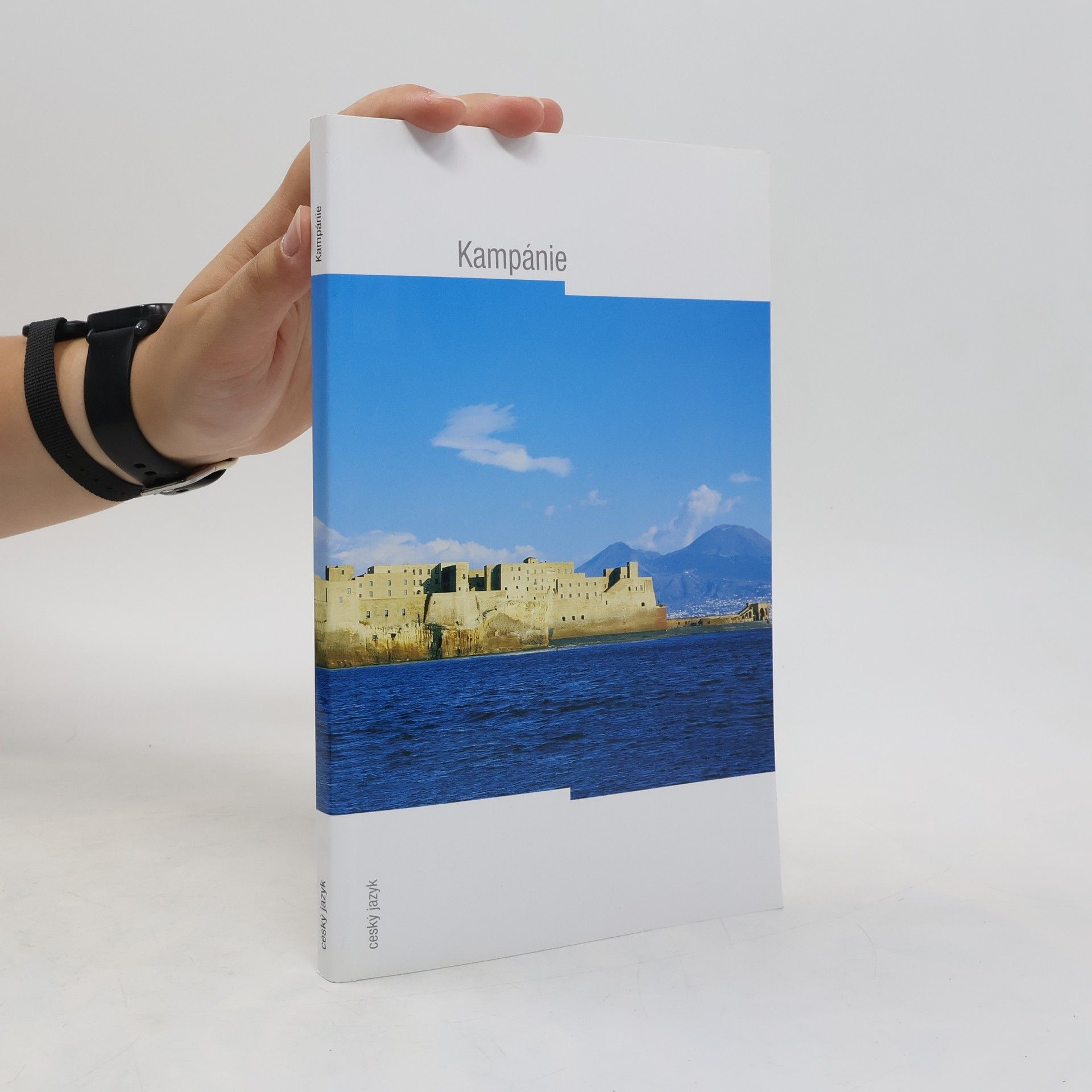 Kolektív autorov Kampánie