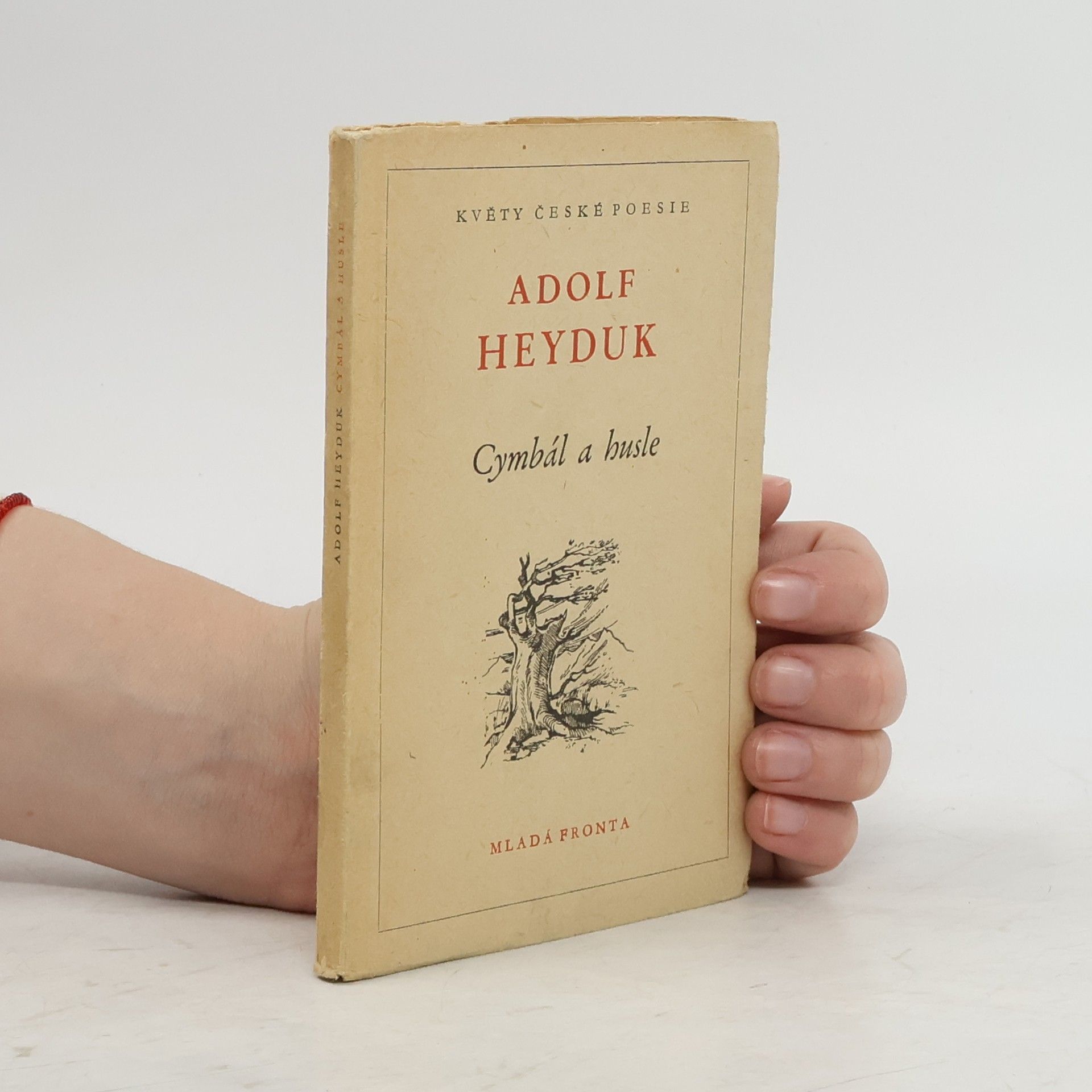 Adolf Heyduk Cymbál a husle