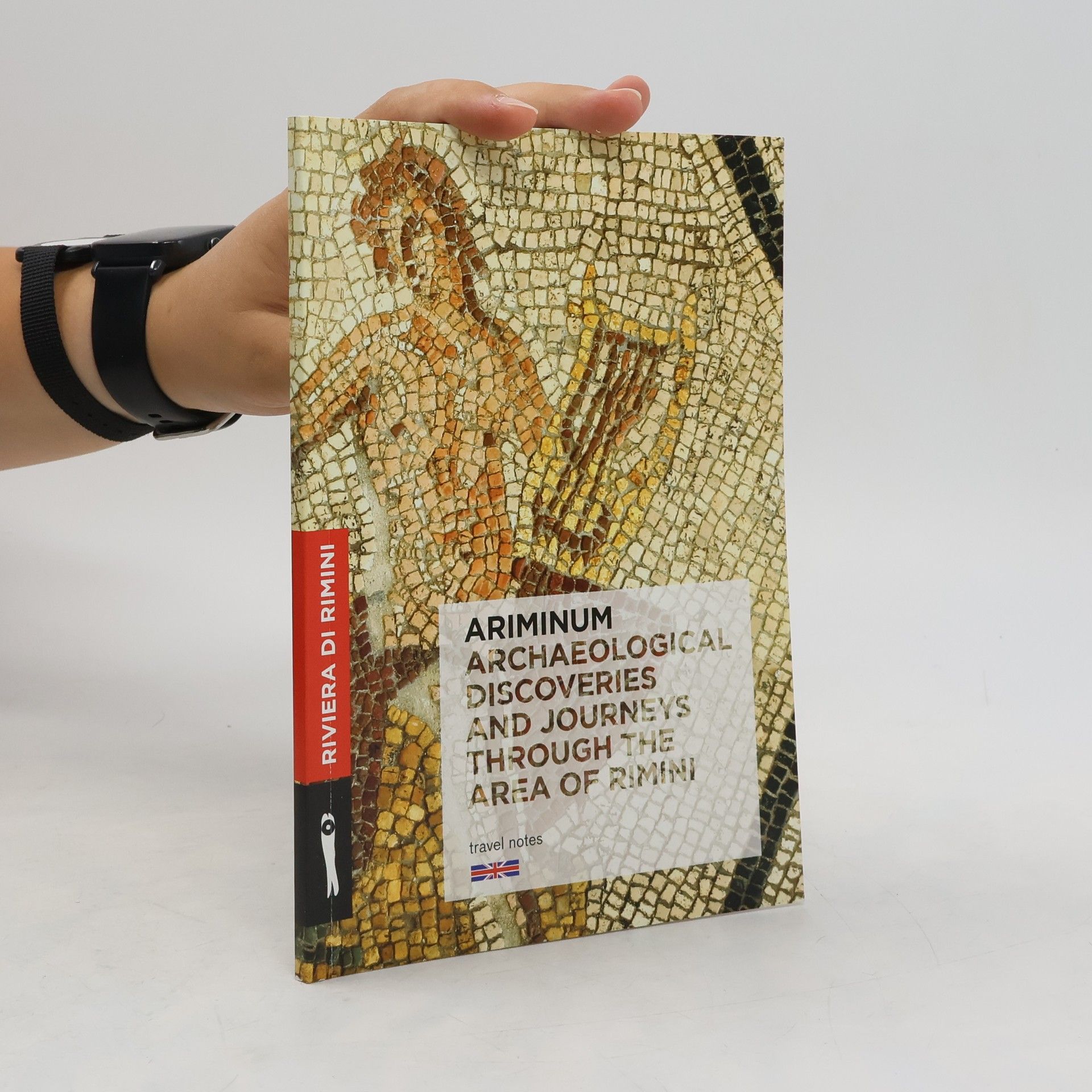 Collectif d'auteurs Ariminum Archaeological Discoveries and Journeys Through the Area of Rimini