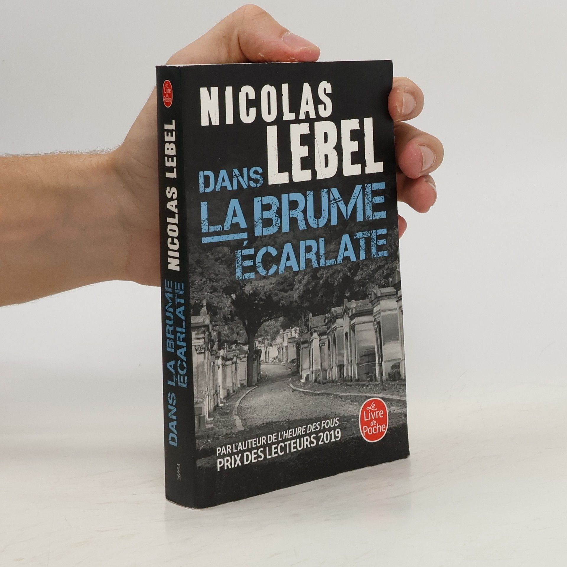 Nicolas Lebel Dans la brume écarlate