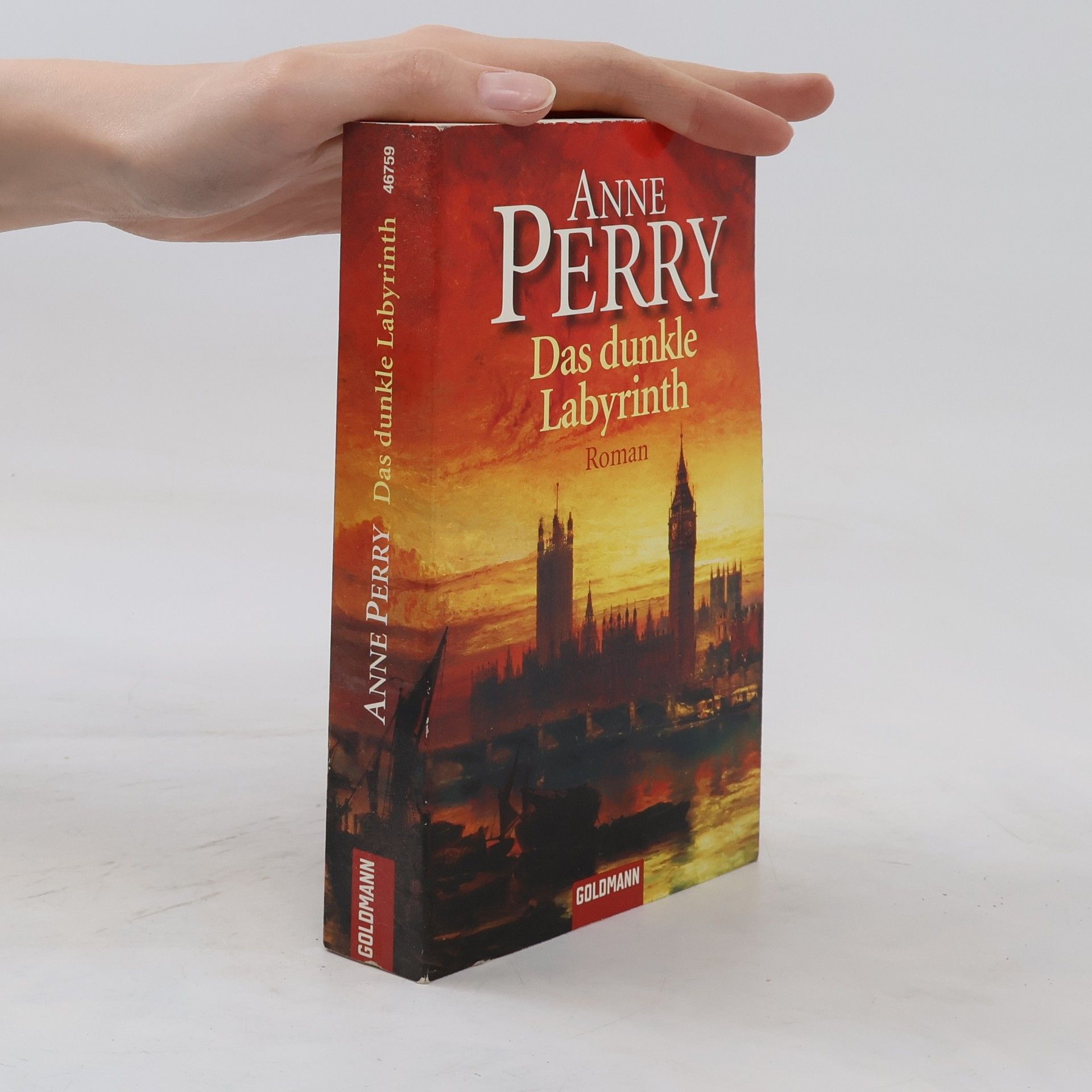 Anne Perry Das dunkle Labyrinth
