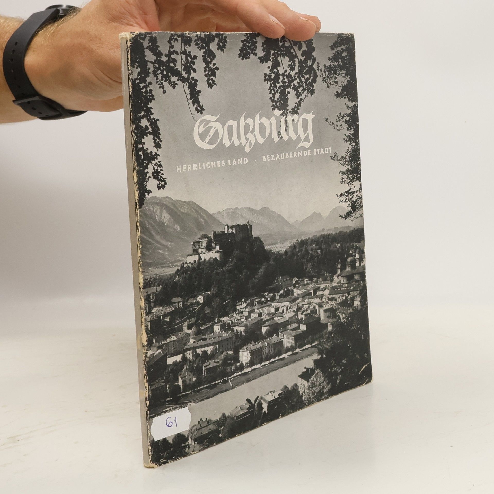 Erika Deglmann Schwarz Salzburg