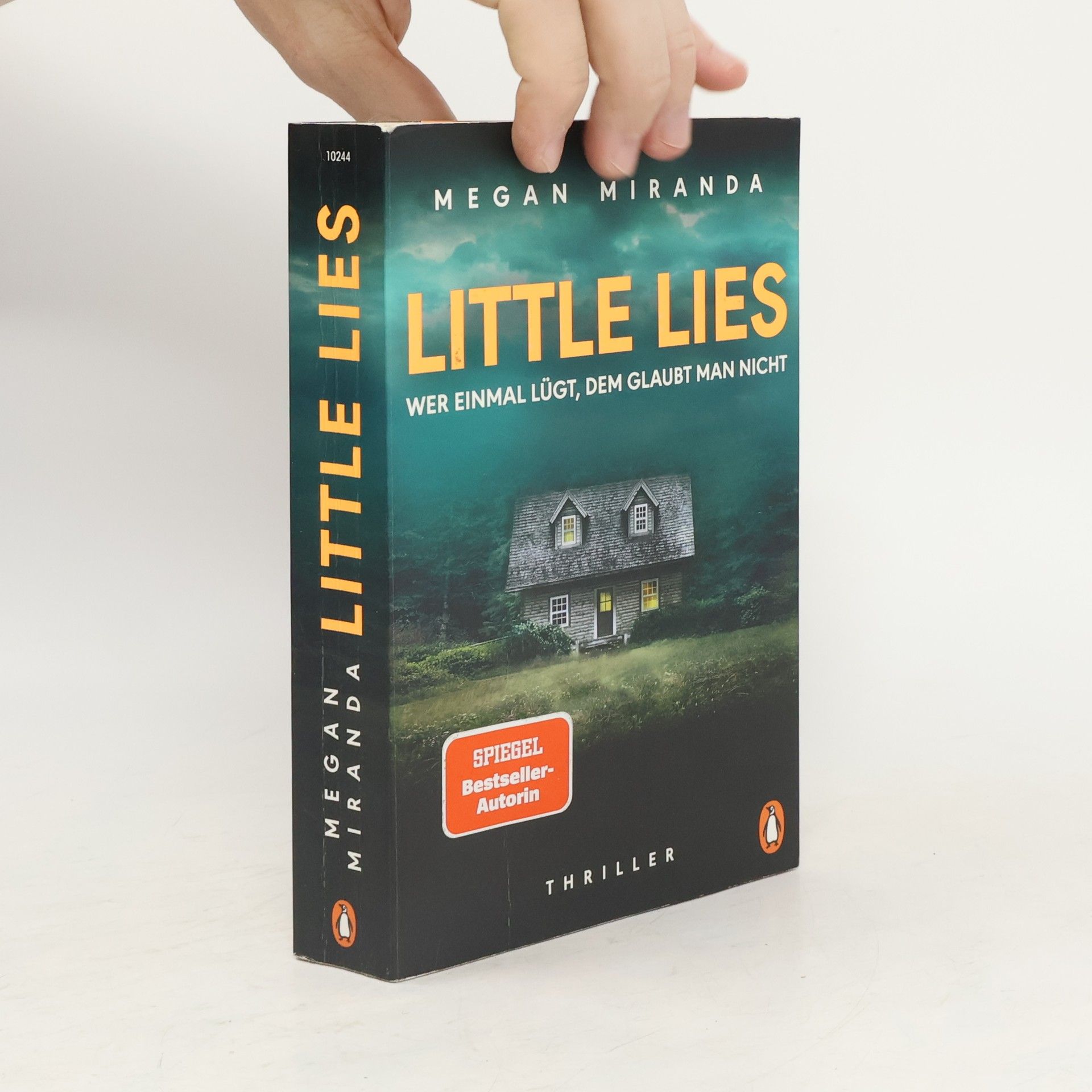 Megan Miranda LITTLE LIES – Wer einmal lügt, dem glaubt man nicht