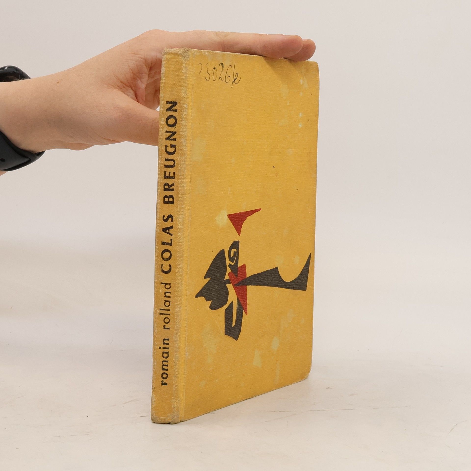 Romain Rolland Colas Breugnon