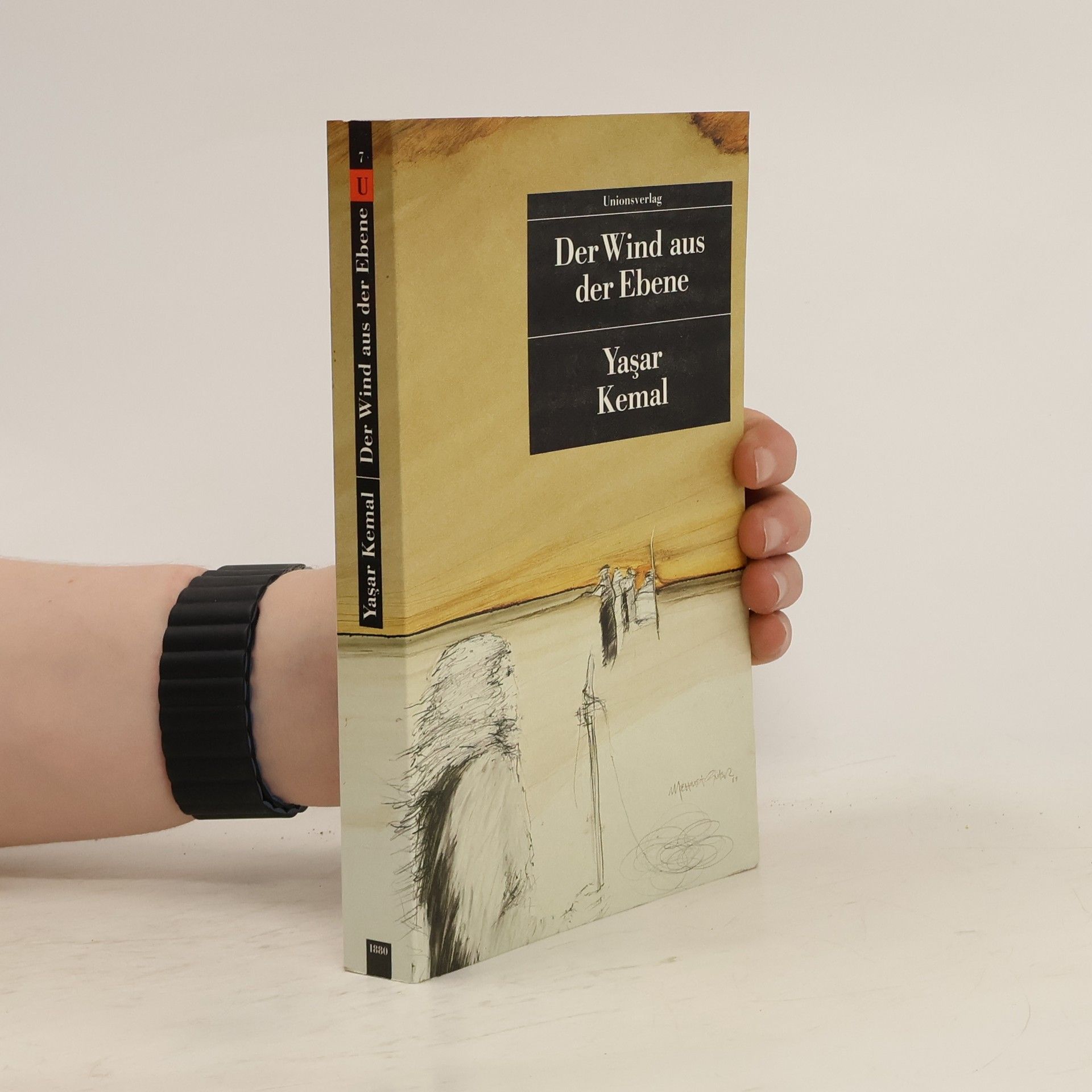 Margarete Bormann Der wind aus der Ebene