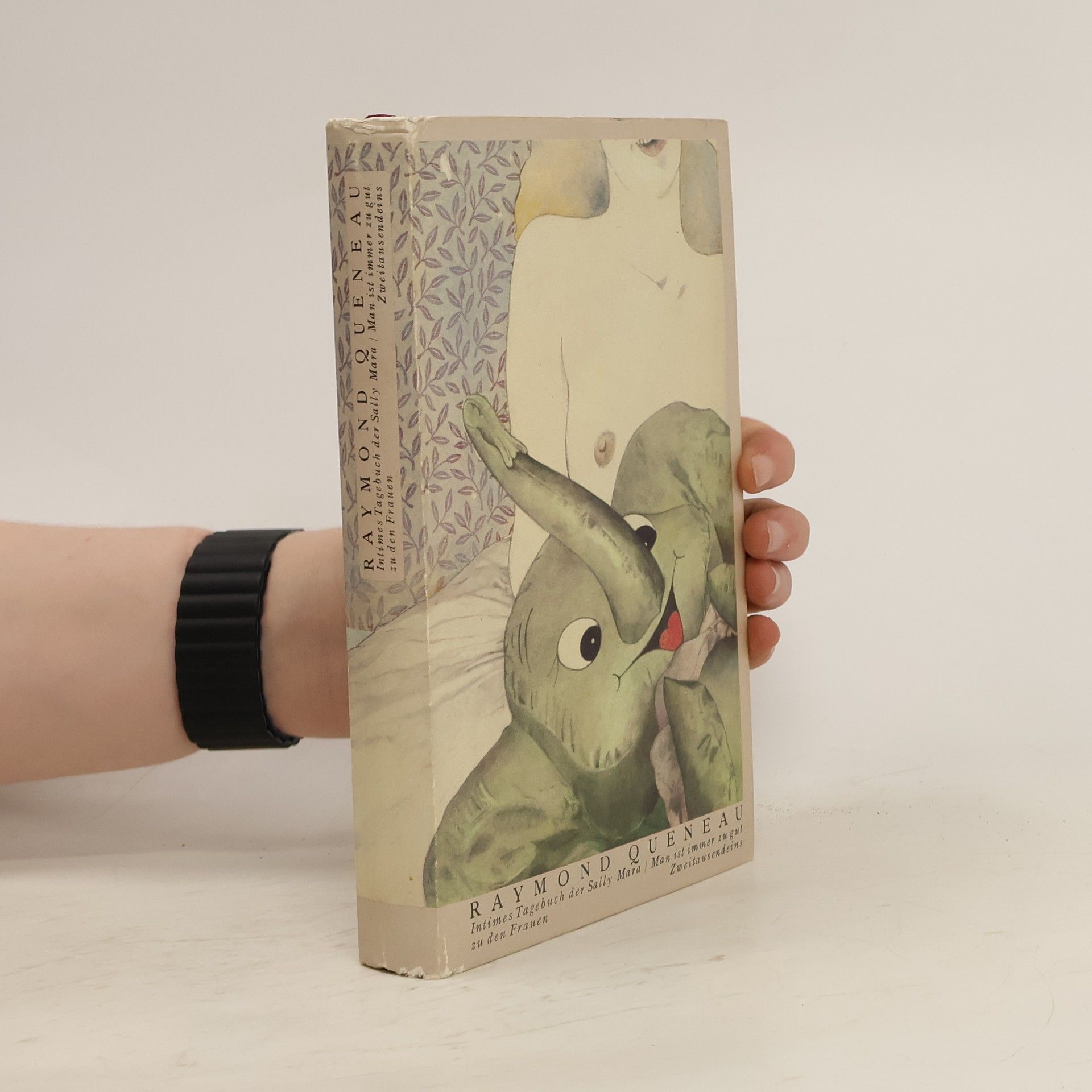 Raymond Queneau Intimes Tagebuch der Sally Mara