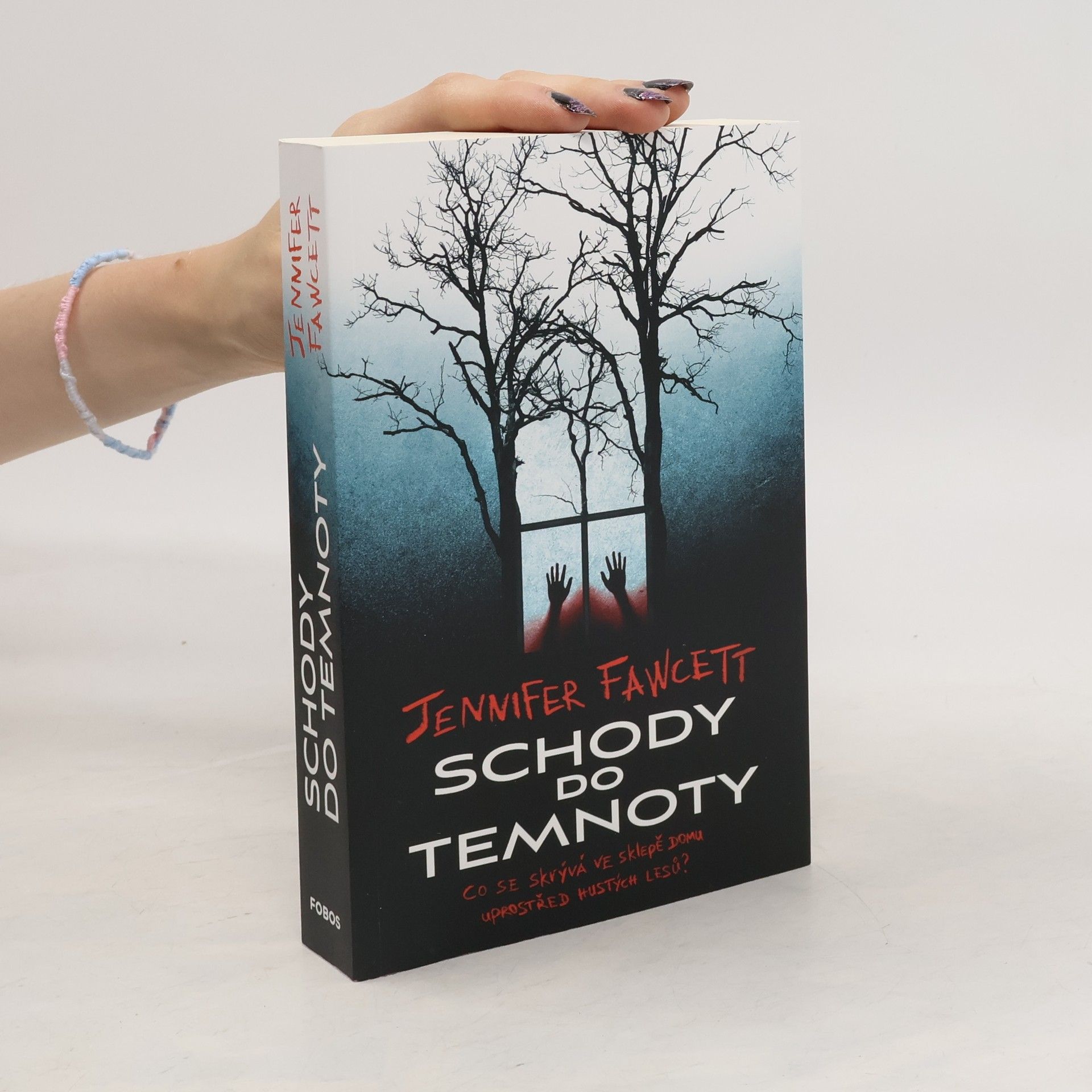 Jennifer Fawcett Schody do temnoty