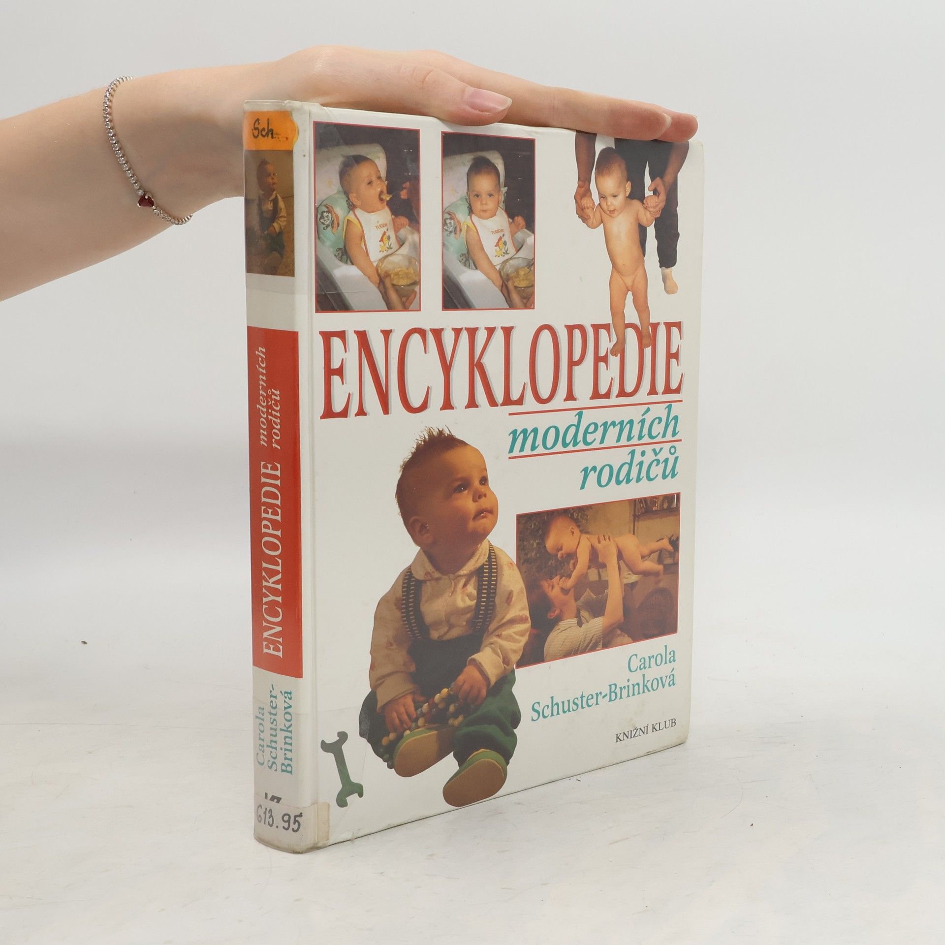 Carola Schuster-Brink Encyklopedie moderních rodičů