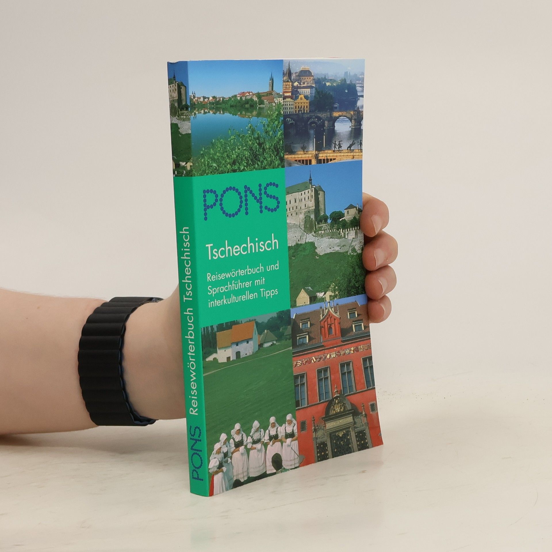 Alena Walter PONS Reisewörterbuch
