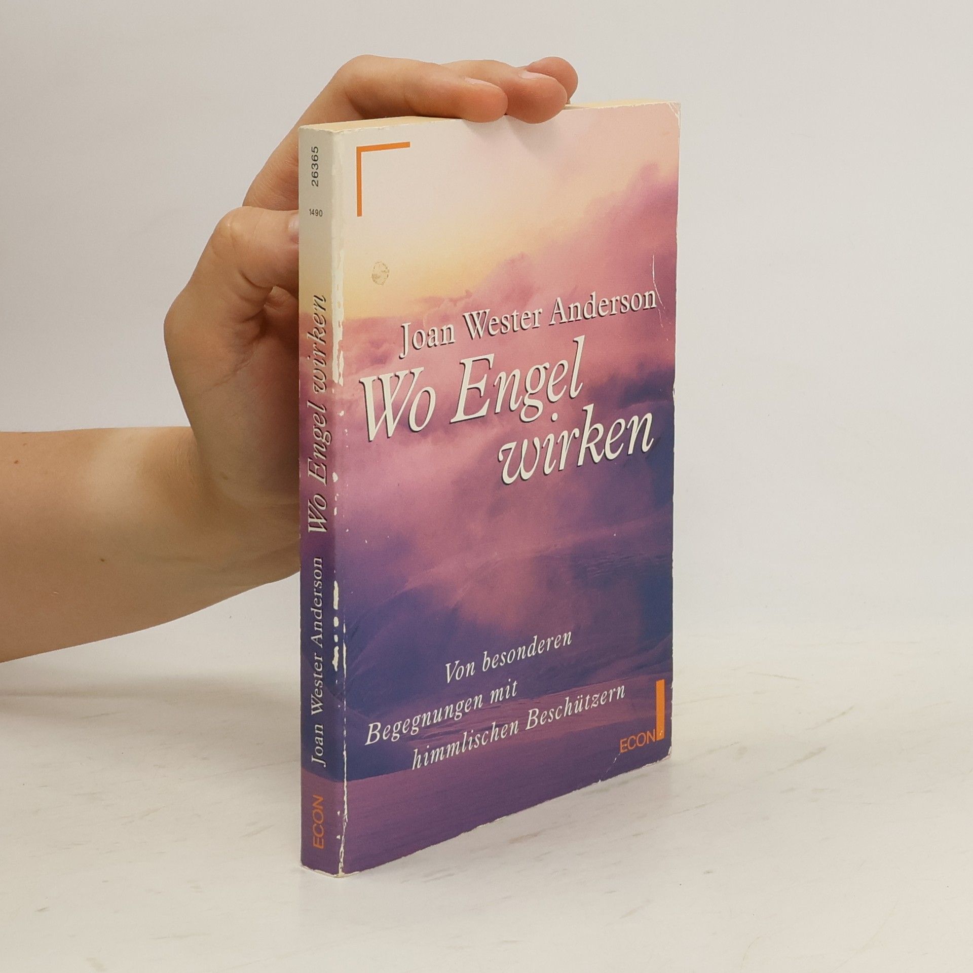 Joan Wester Anderson Wo Engel wirken