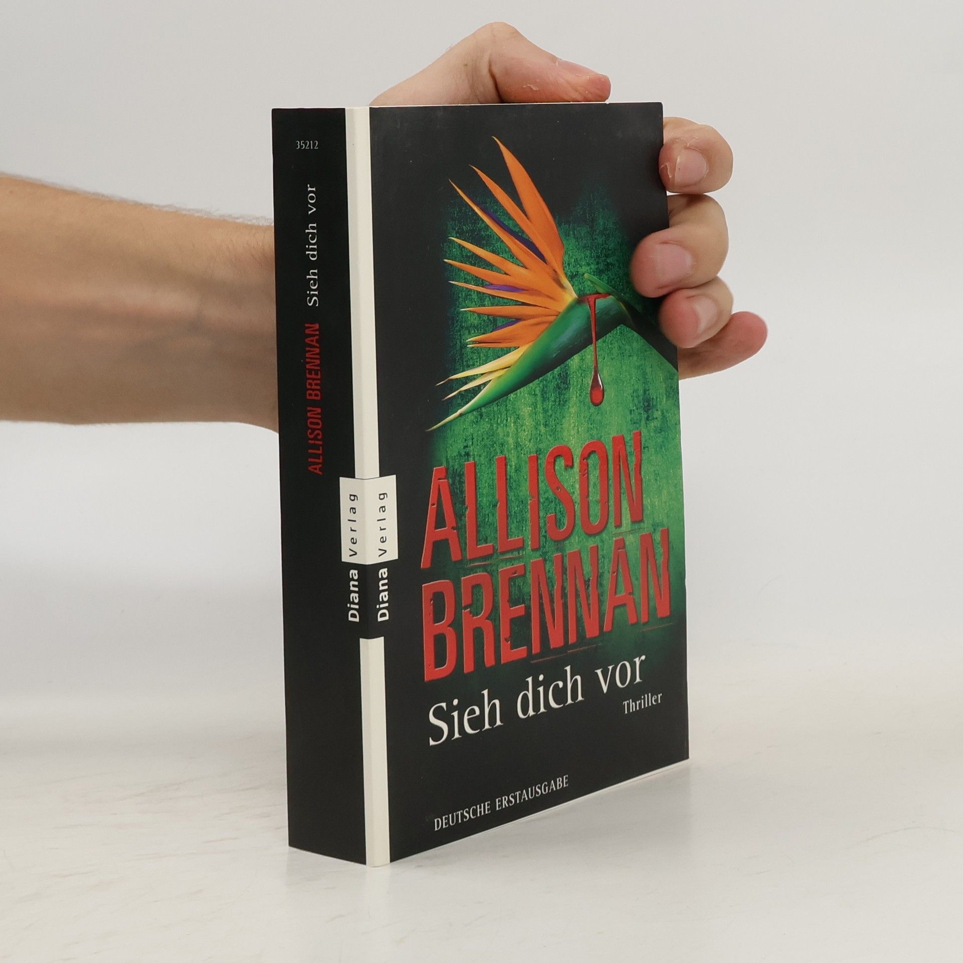 Allison Brennan Sieh dich vor