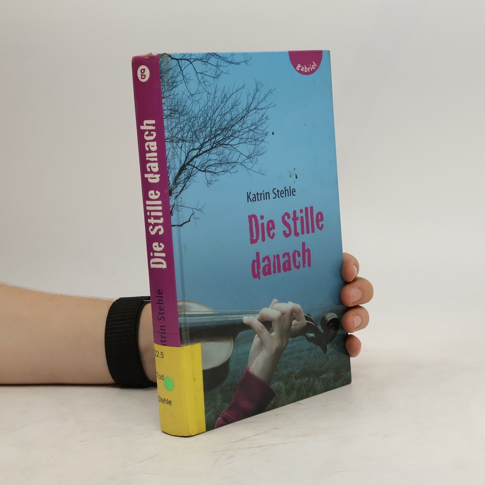 Katrin Stehle Die Stille danach