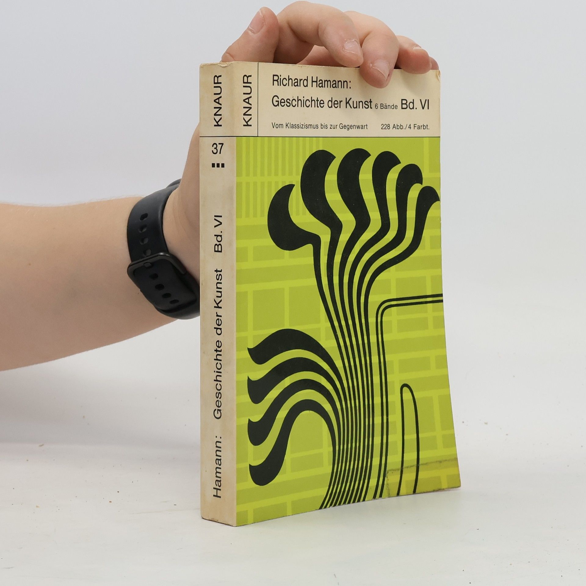 Richard Hamann Geschichte der Kunst VI.