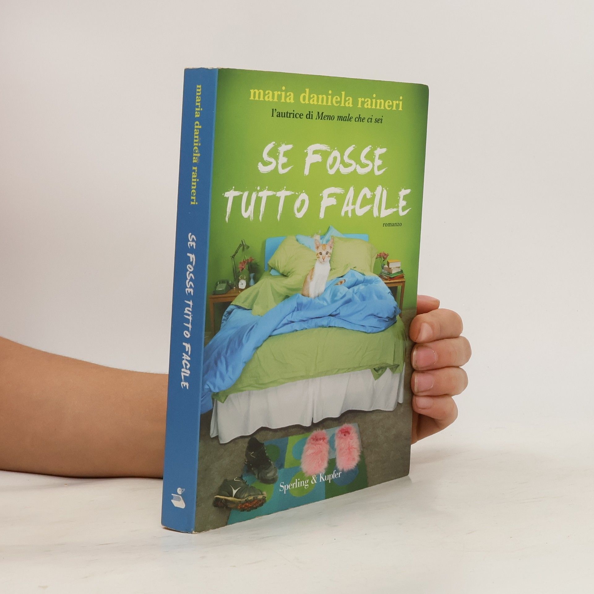 Maria Daniela Raineri Se fosse tutto facile
