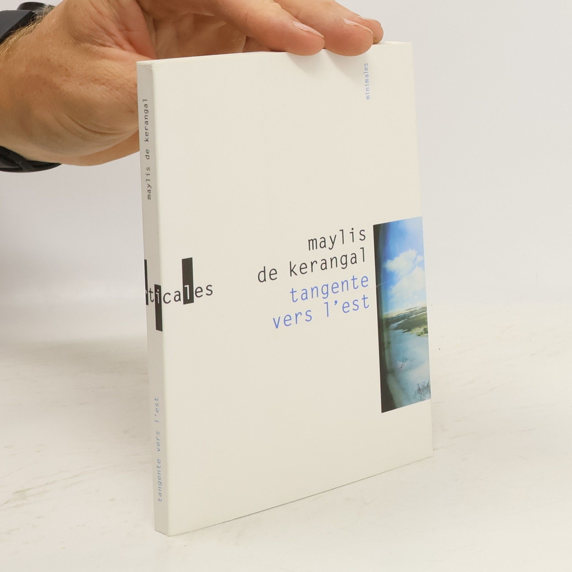 Maylis de Kerangal Tangente vers l'est