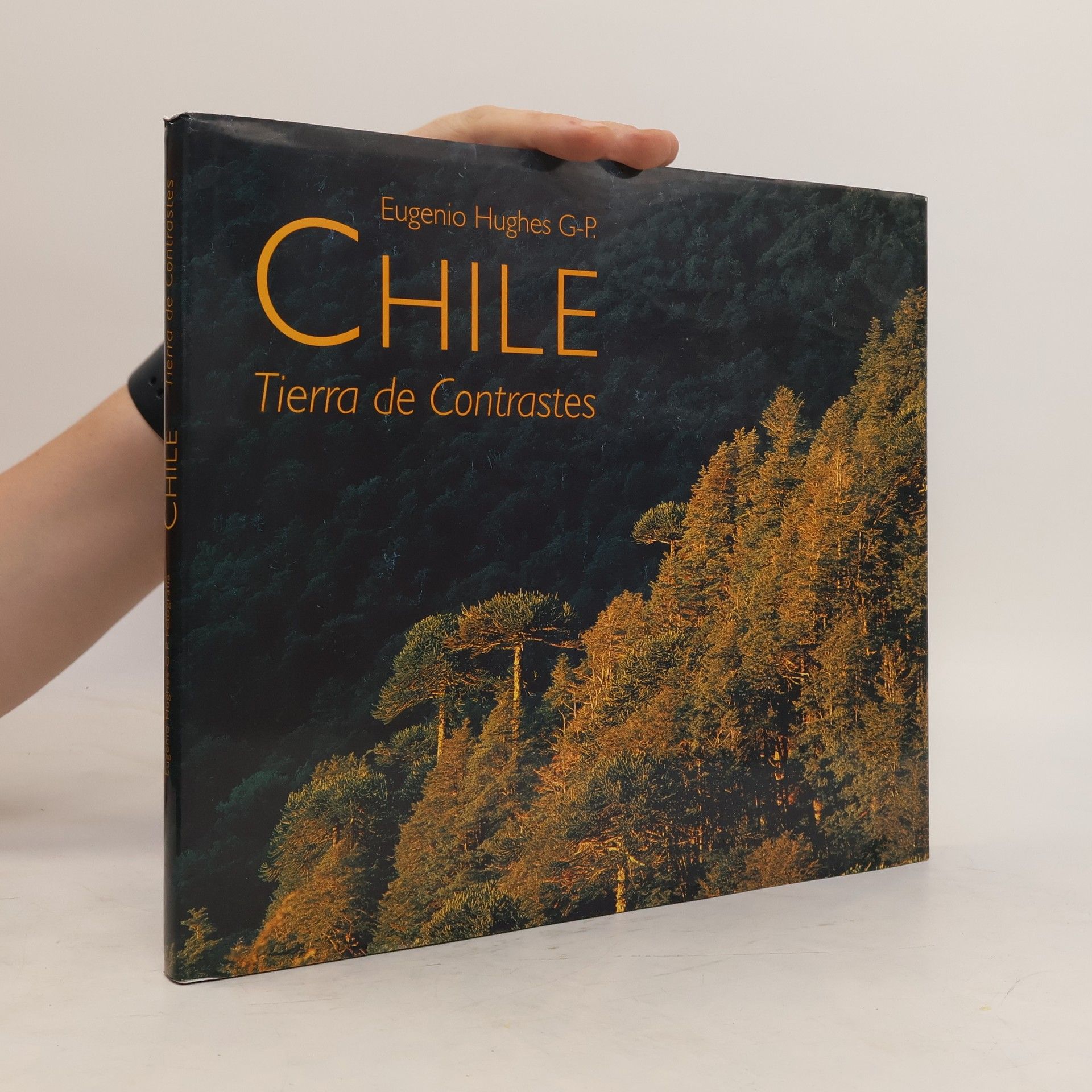 Eugenio Hughes Gonzáles-Pagliere Chile