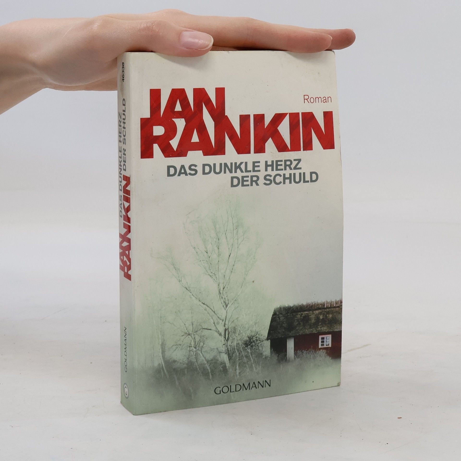 Ian Rankin Das dunkle Herz der Schuld