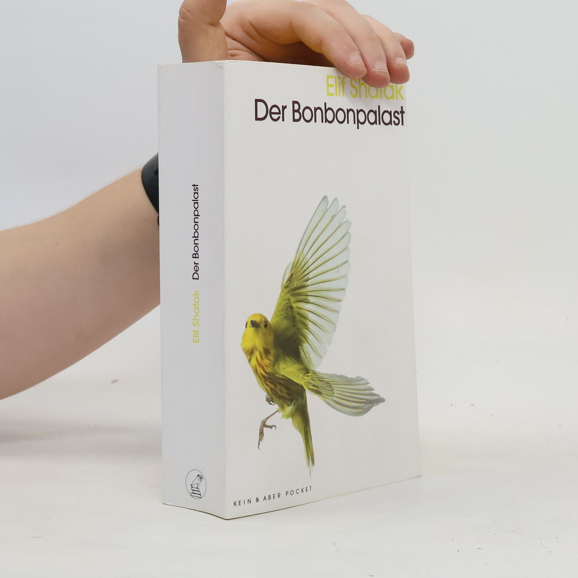 Elif Şafak Der Bonbonpalast