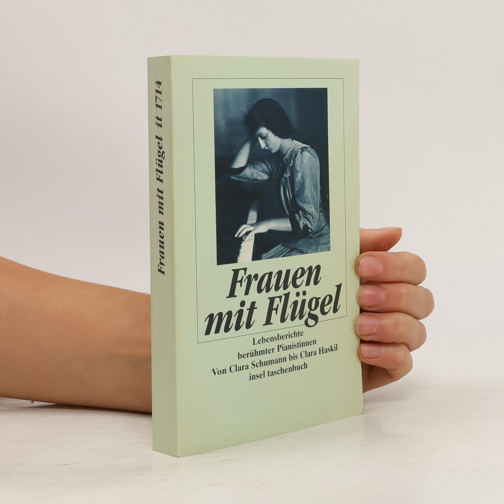 Monica Steegmann Frauen mit Flügel