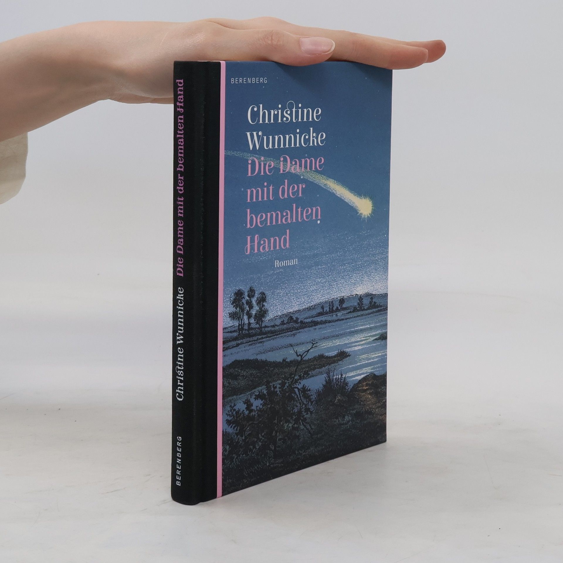 Christine Wunnicke Die Dame mit der bemalten Hand